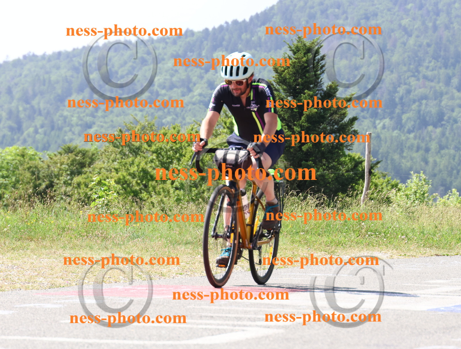 Col du grand Colombier (1109).JPG