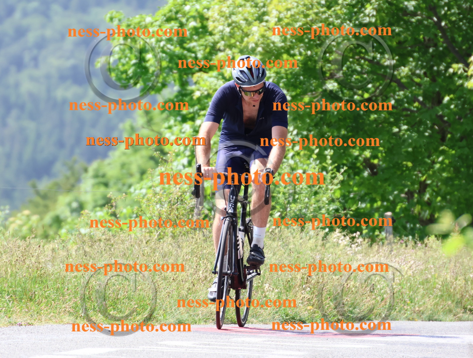 Col du grand Colombier (1096).JPG