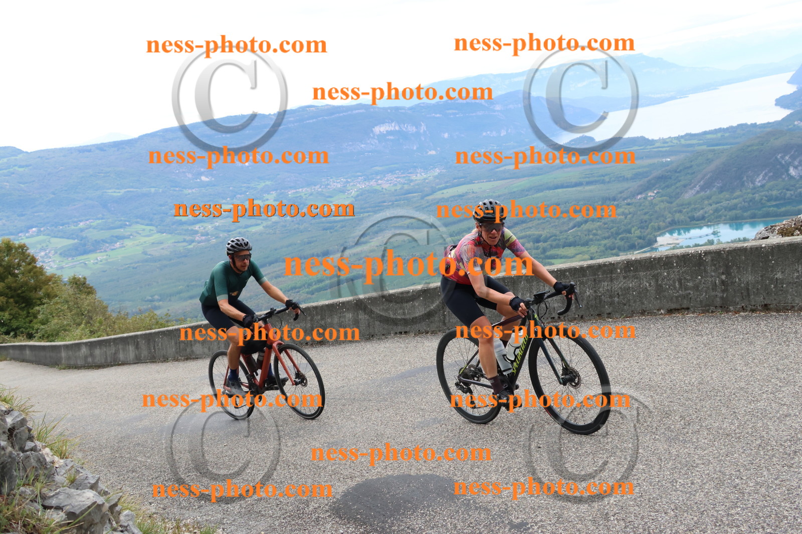 Col du Grand Colombier (2918).JPG