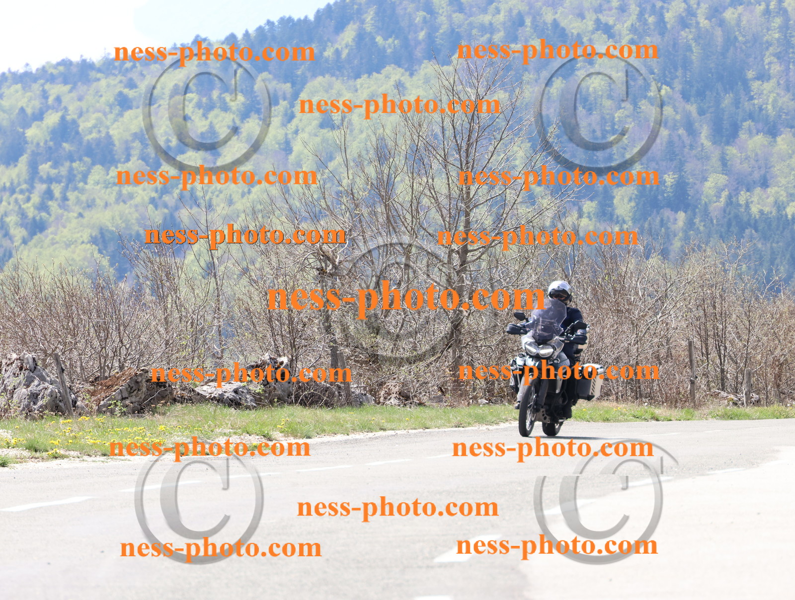 Col du Grand Colombier (1).JPG