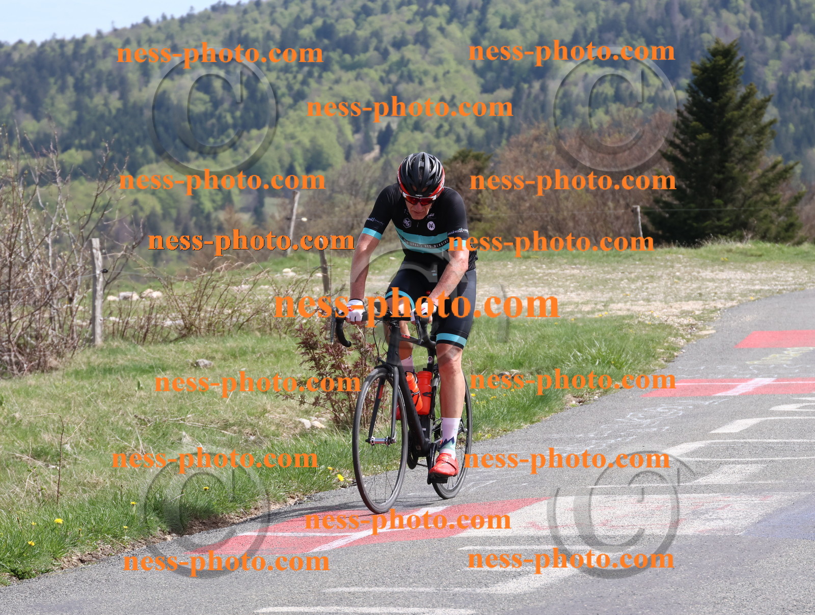 Col du Grand Colombier (1032).JPG