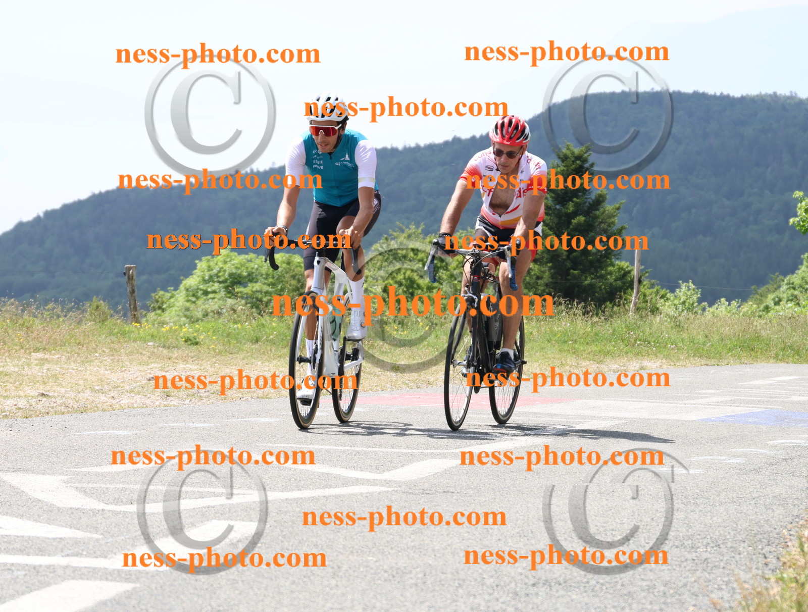 Col du grand Colombier (1861).JPG