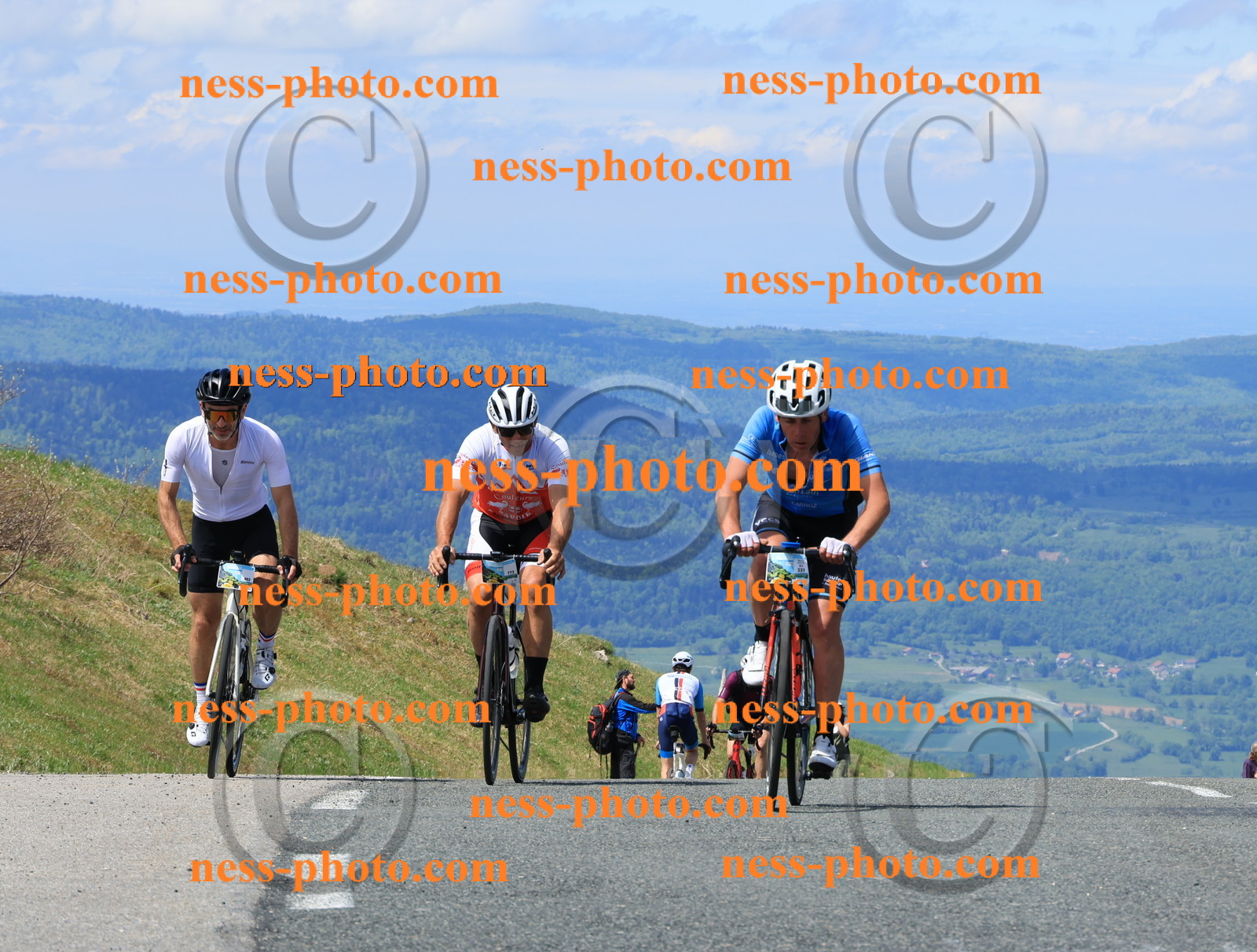 Col du Grand Colombier (2167).JPG