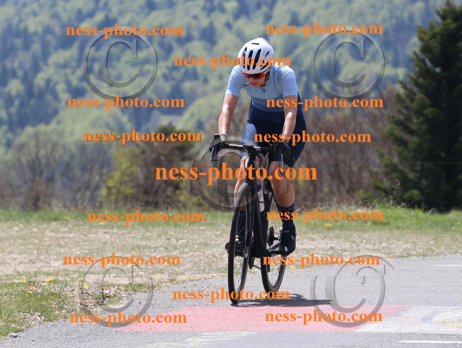 Col du Grand Colombier (191).JPG