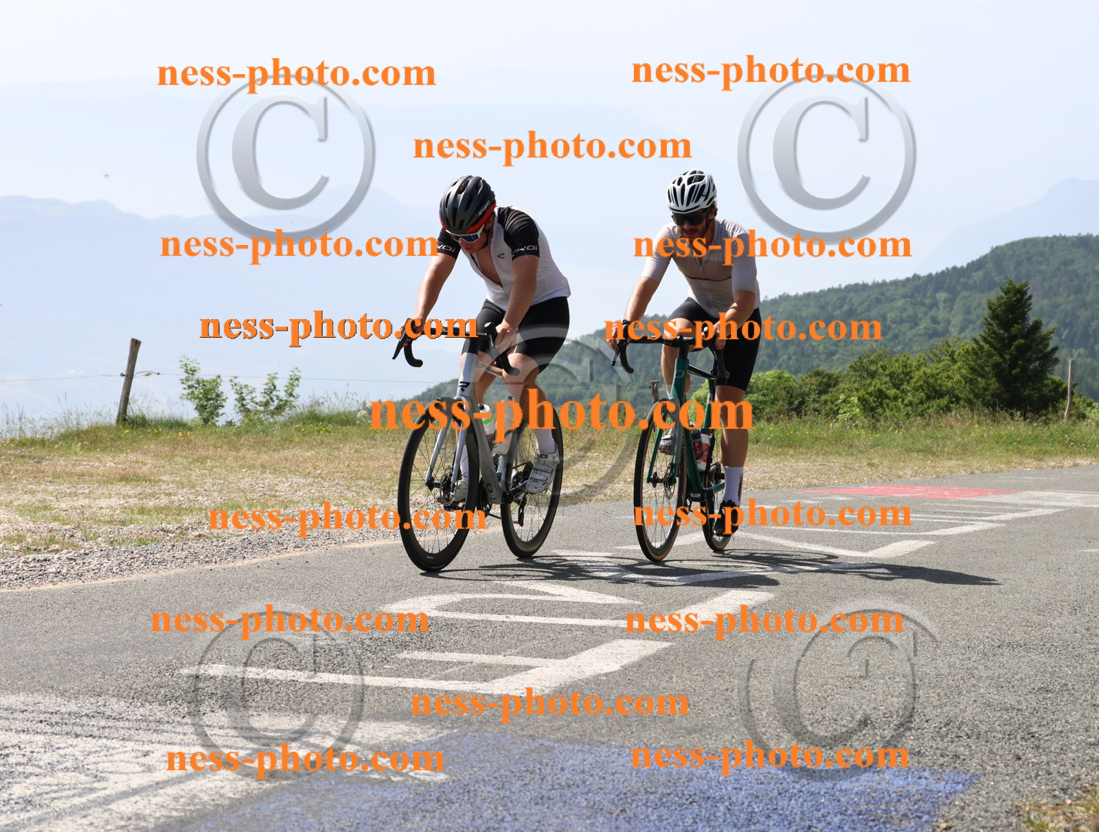 Col du grand Colombier (1021).JPG