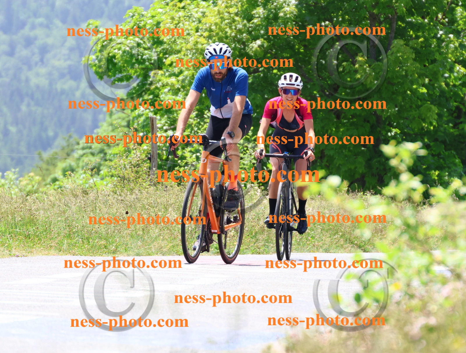 Col du grand Colombier (2791).JPG