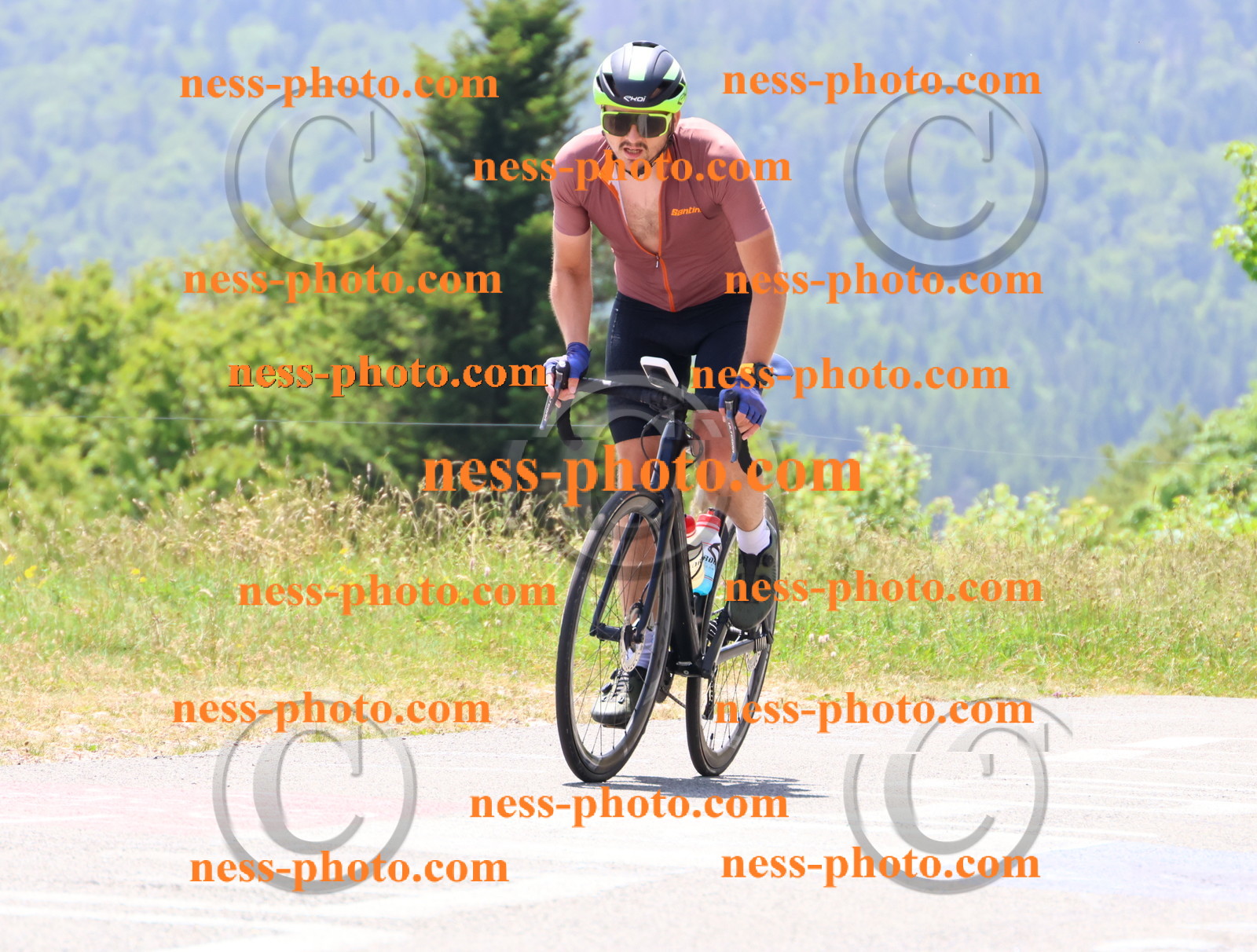 Col du grand Colombier (2836).JPG