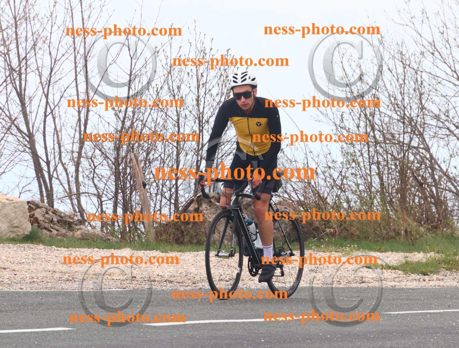 Col du Grand Colombier (80).JPG