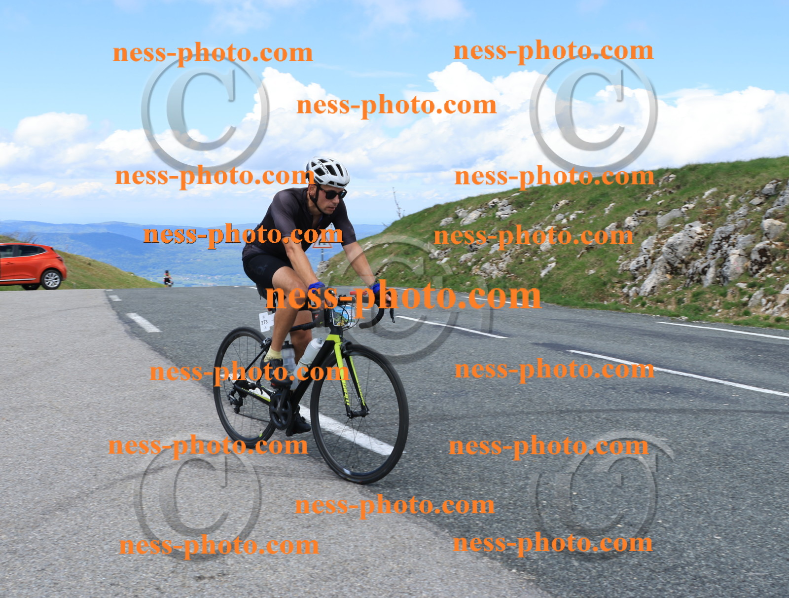 Col du Grand Colombier (2640).JPG