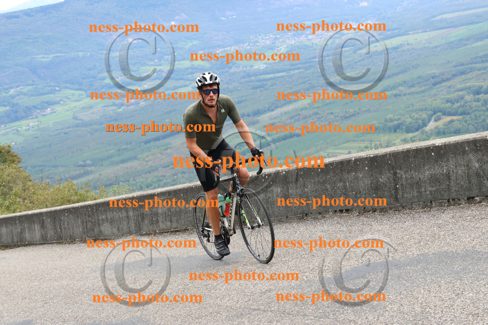 Col du Grand Colombier (2462).JPG