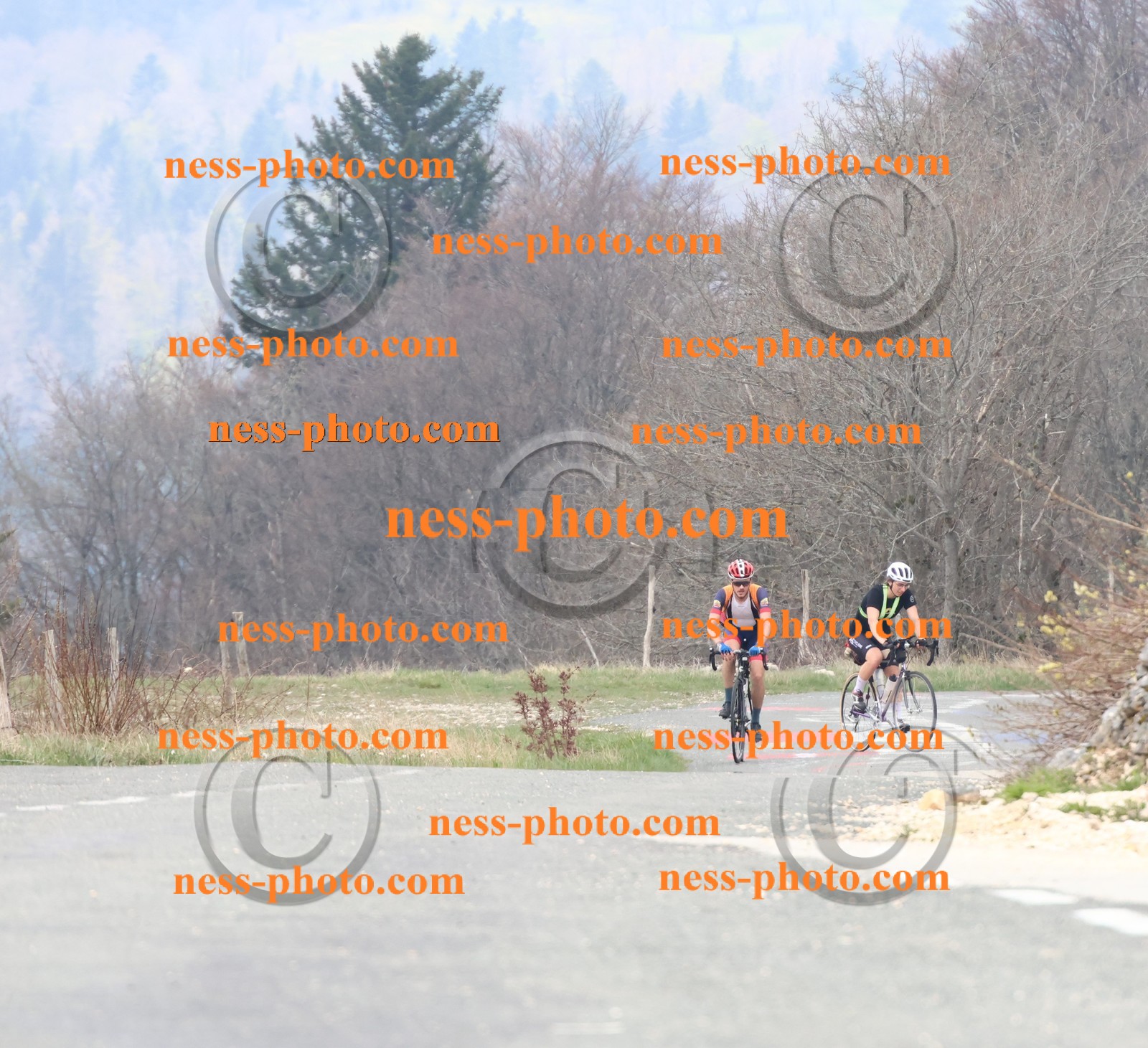 Col du Grand Colombier (106).JPG