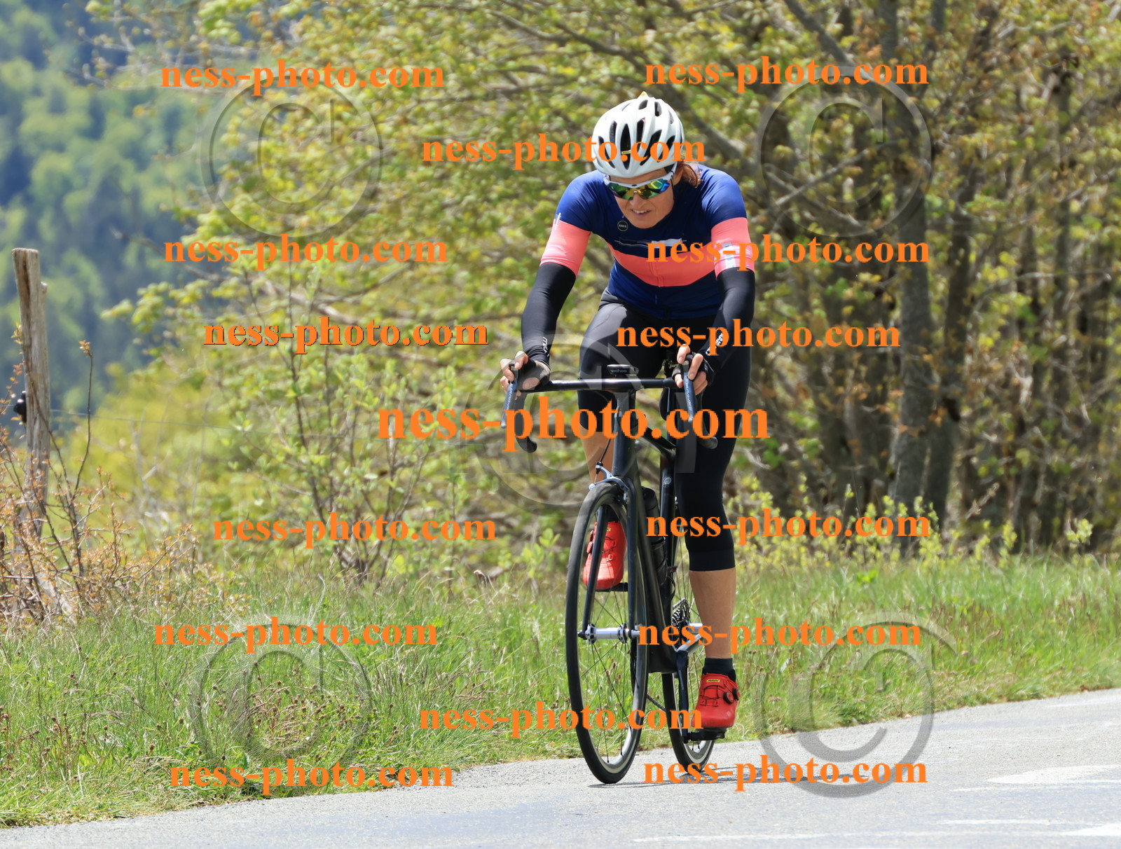 Col du Grand Colombier (317).JPG