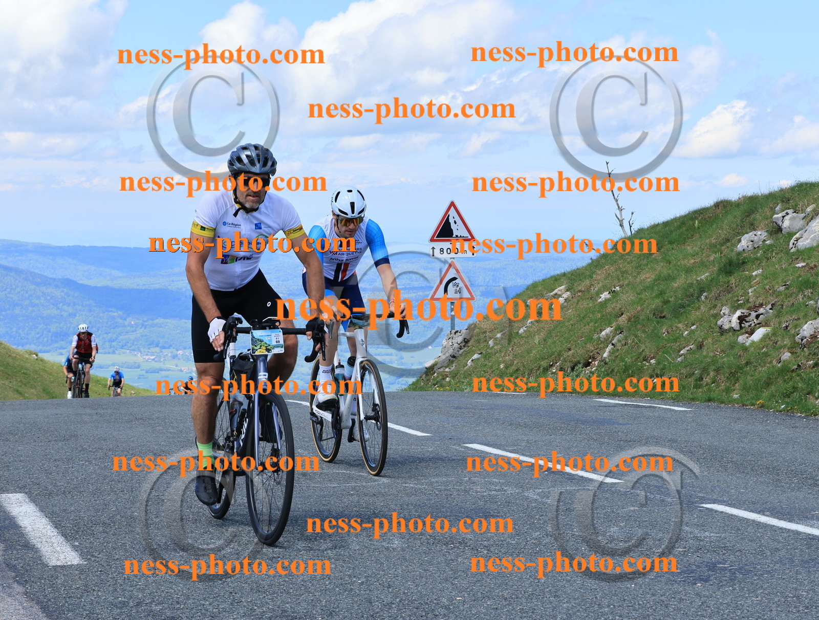 Col du Grand Colombier (2216).JPG