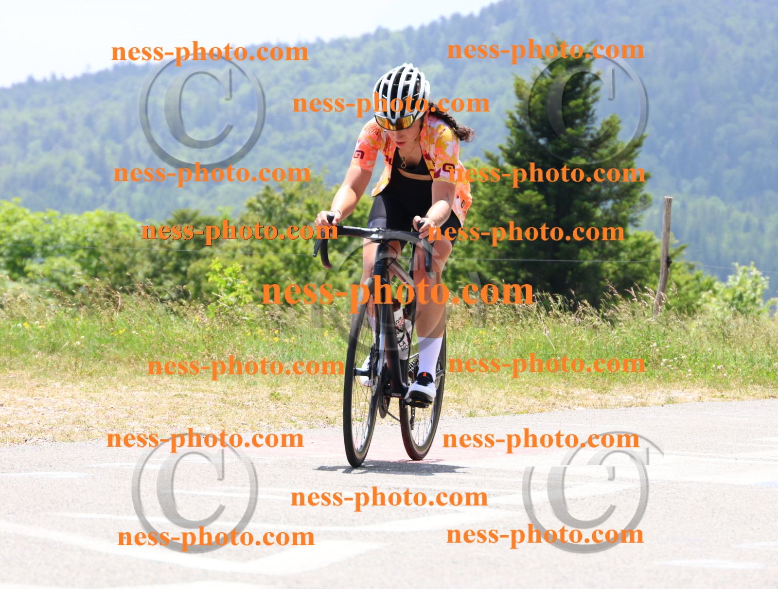 Col du grand Colombier (2931).JPG