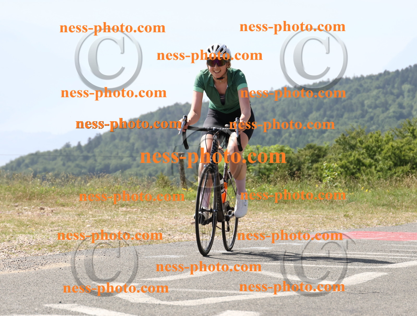 Col du grand Colombier (819).JPG