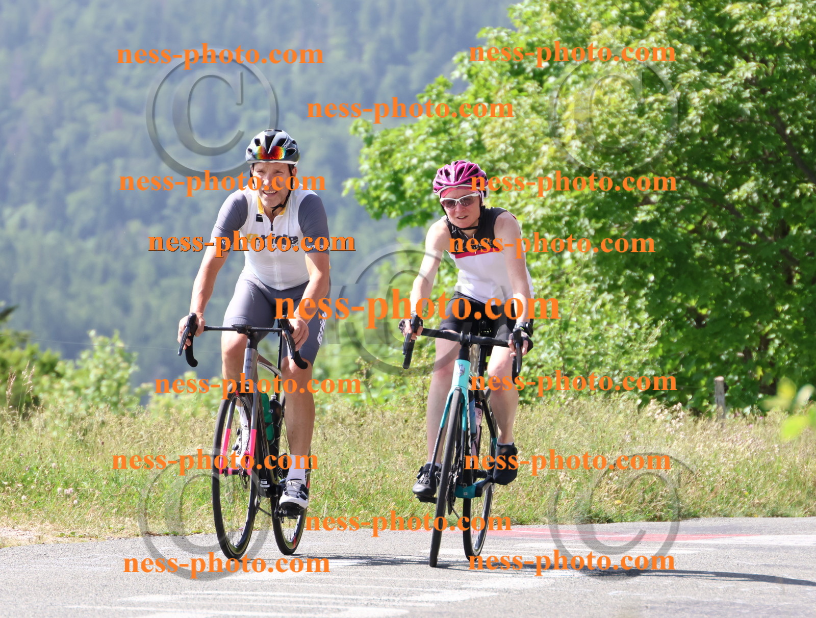 Col du grand Colombier (885).JPG