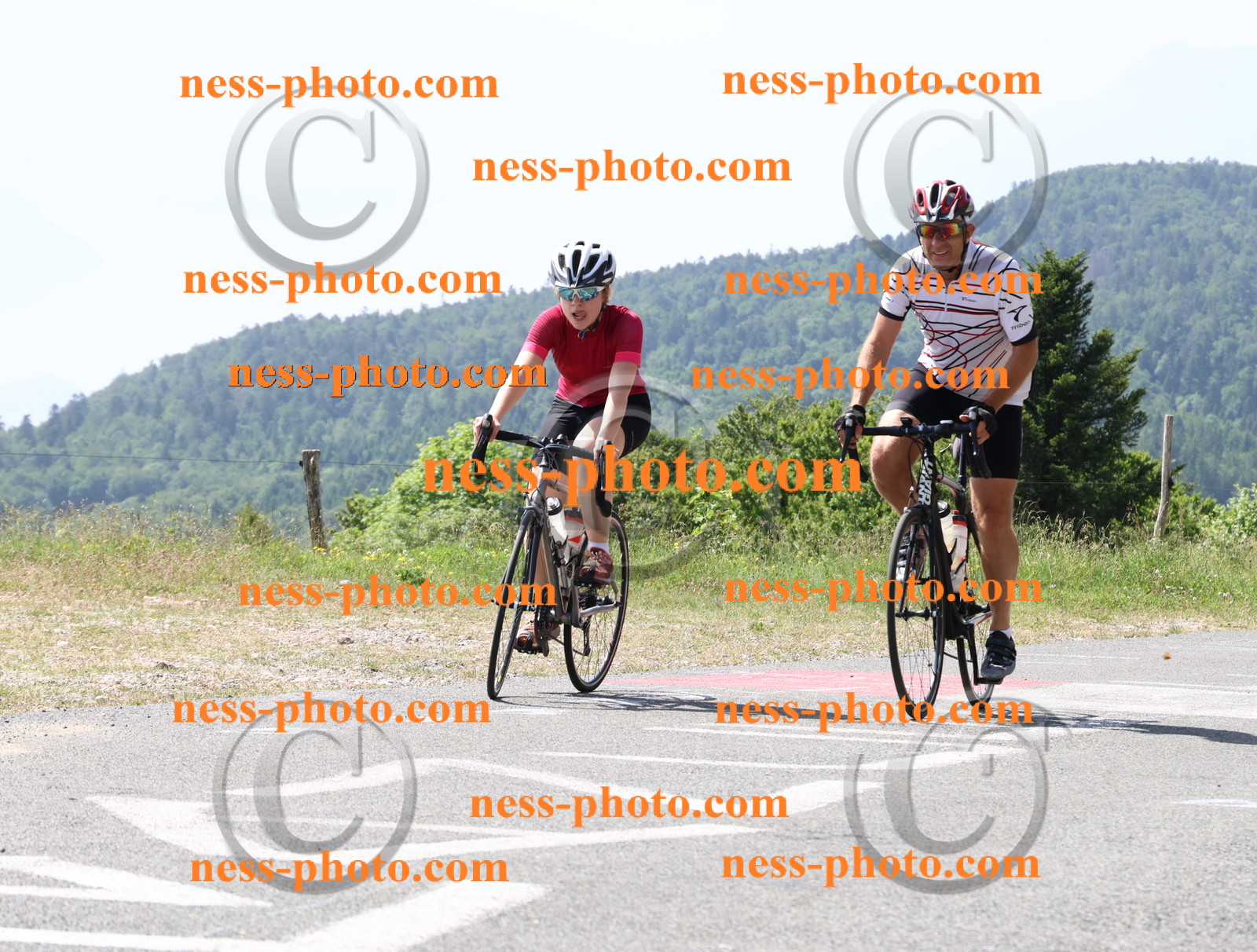 Col du grand Colombier (1452).JPG