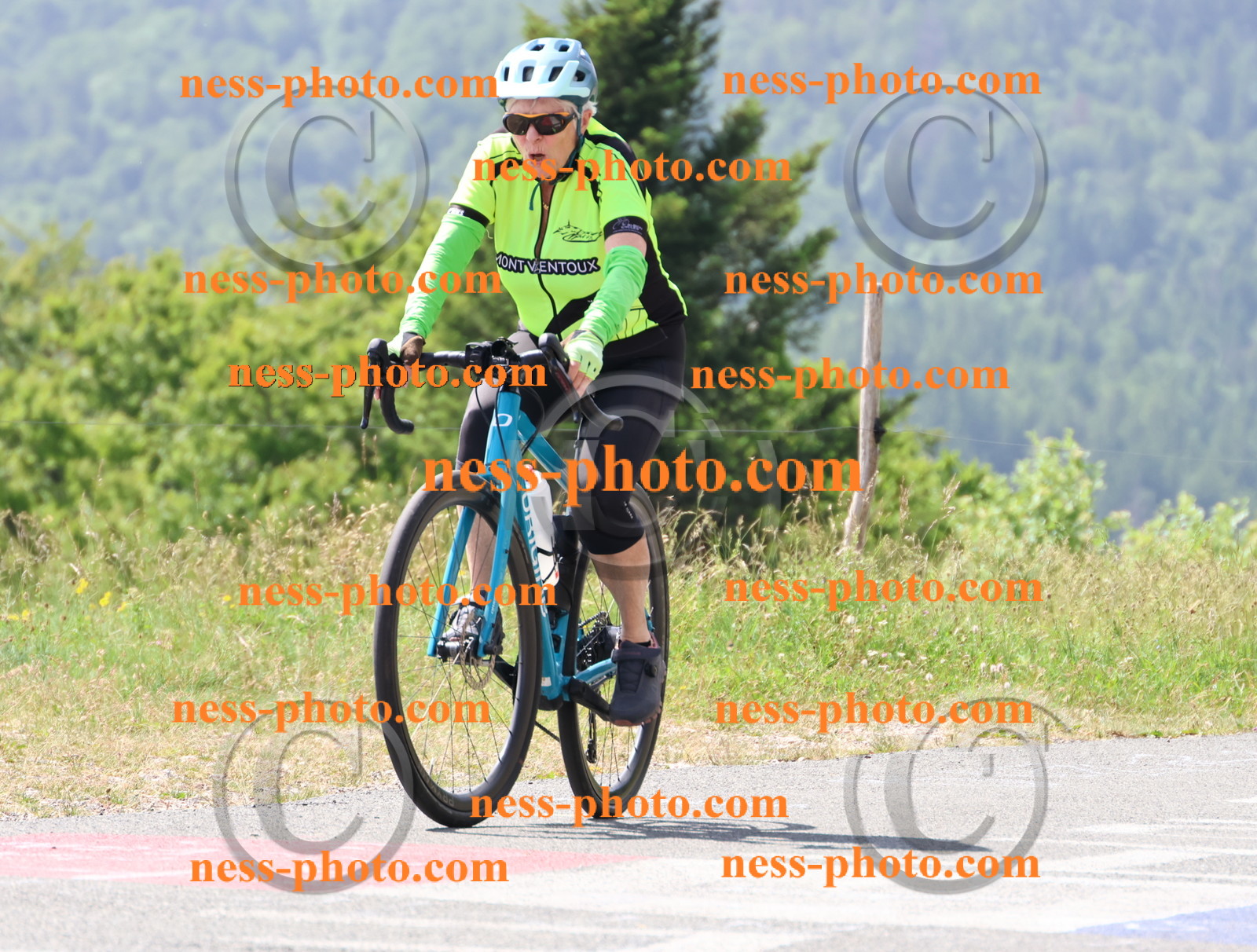 Col du grand Colombier (1678).JPG