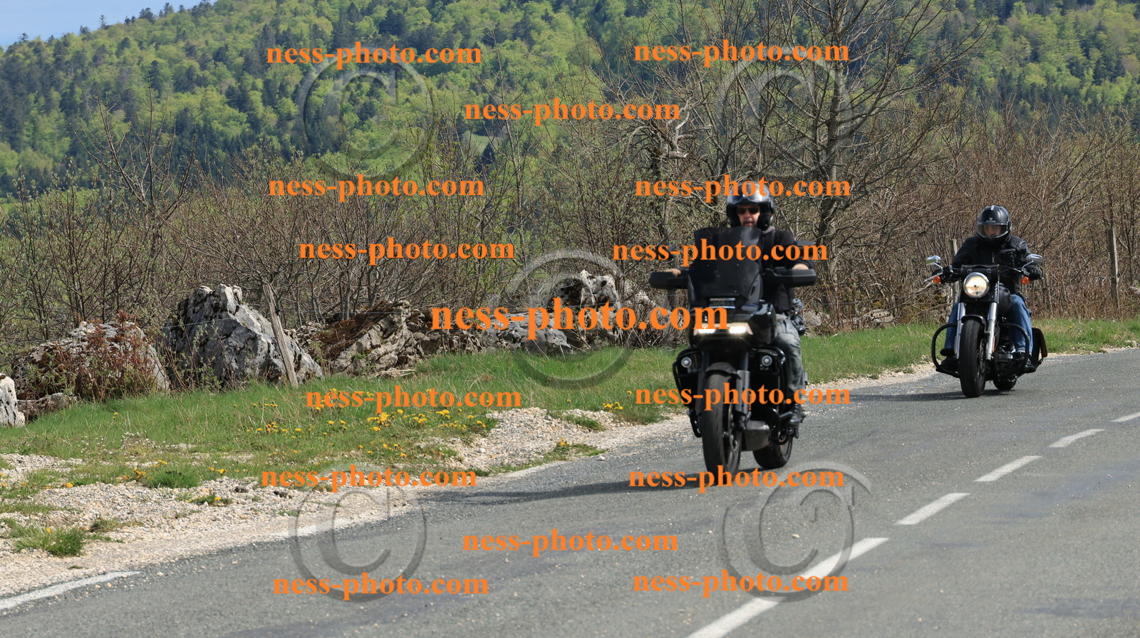 Col du Grand Colombier (254).JPG