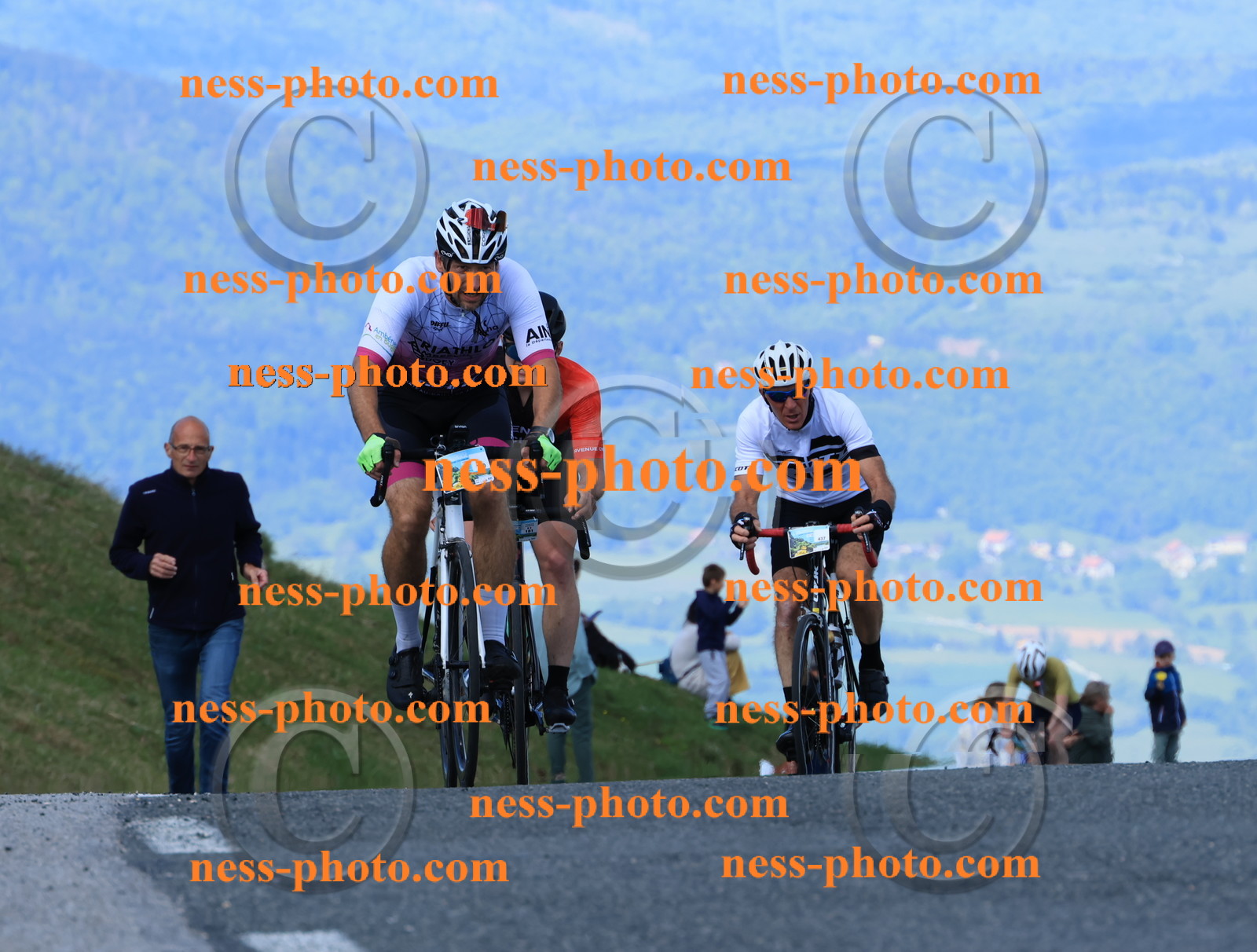 Col du Grand Colombier (669).JPG