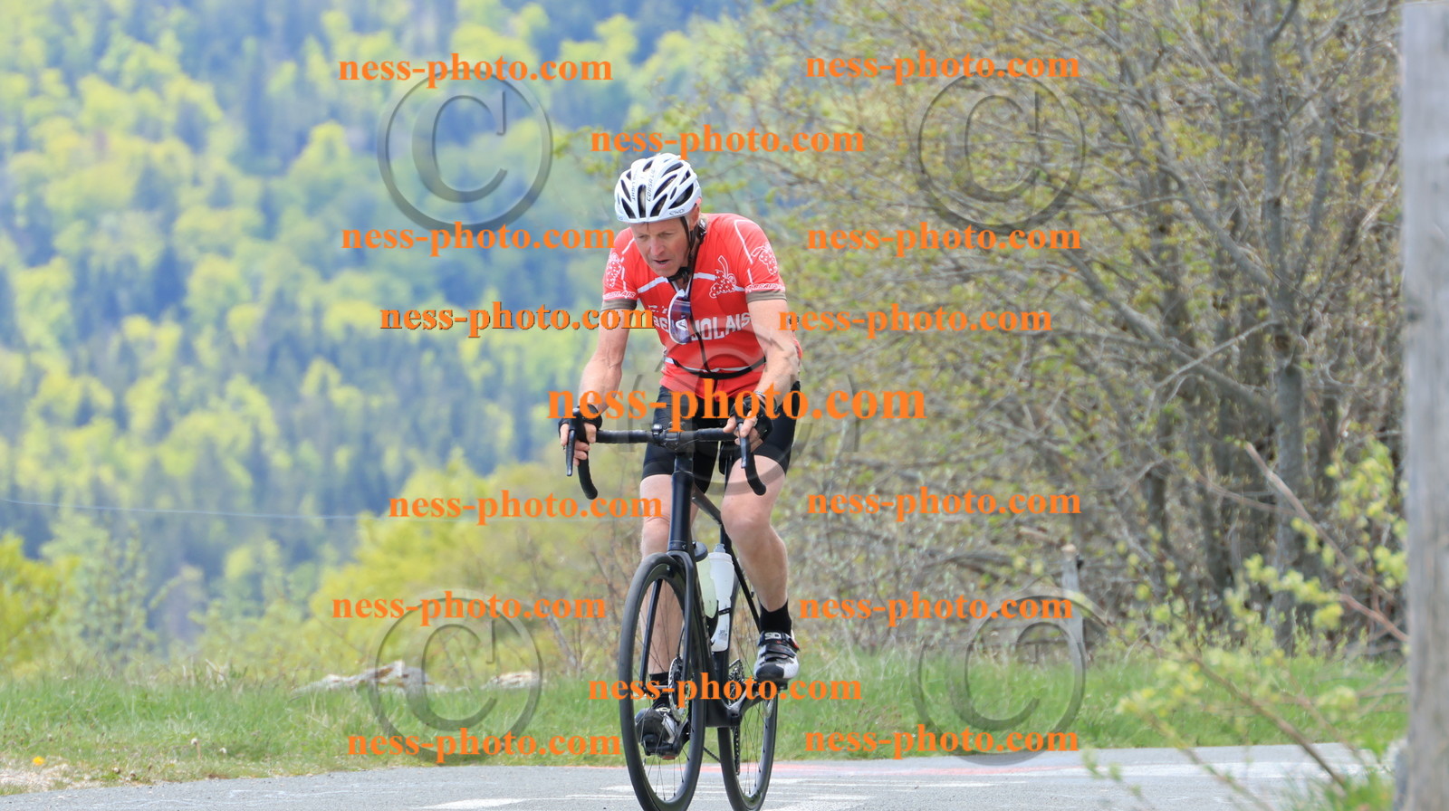 Col du grand Colombier (354).JPG