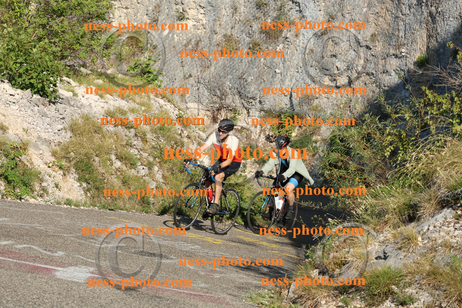 Col du Grand Colombier  (5).JPG