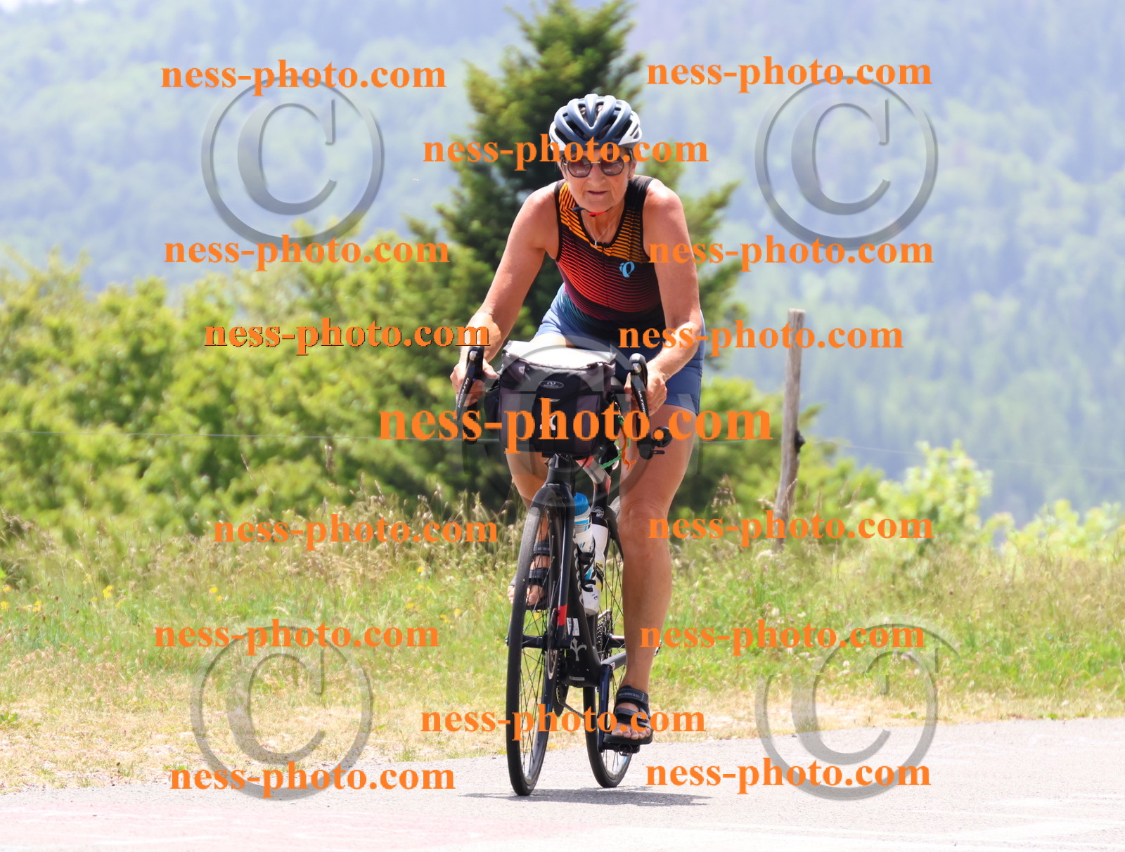 Col du grand Colombier (2919).JPG