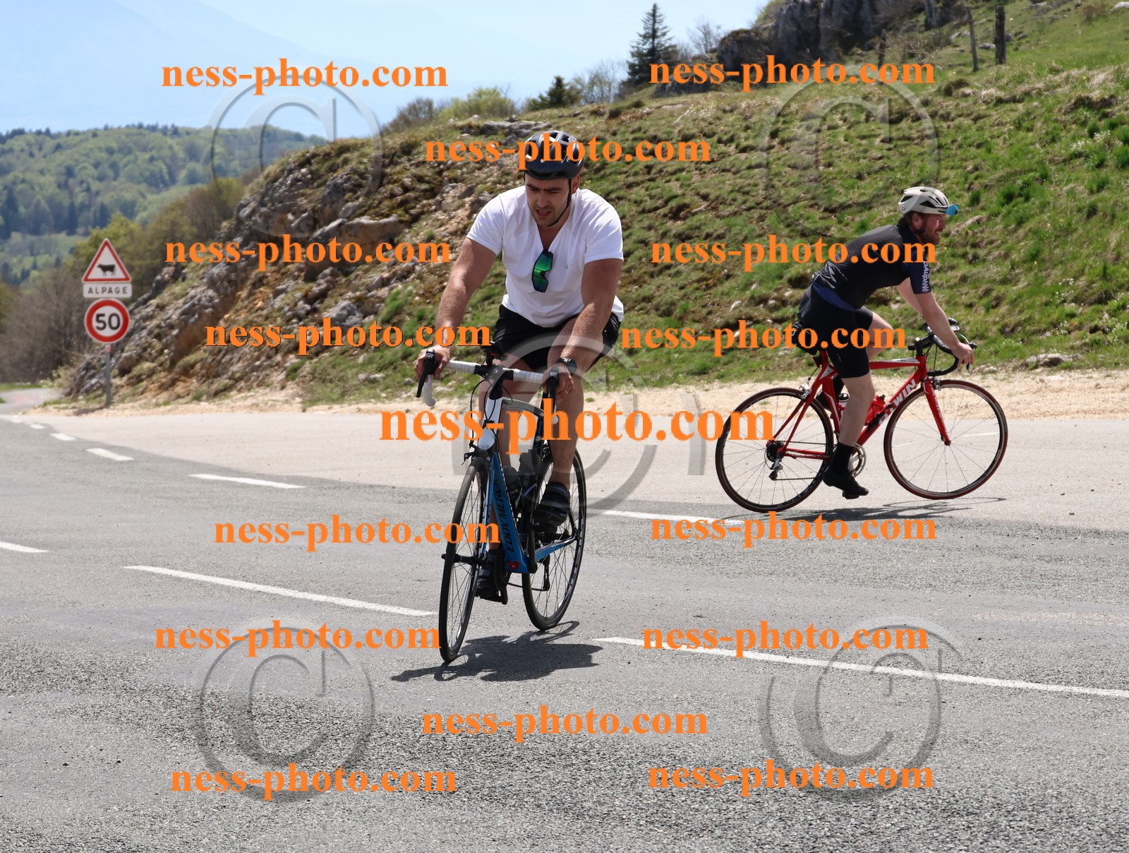 Col du Grand Colombier (716).JPG