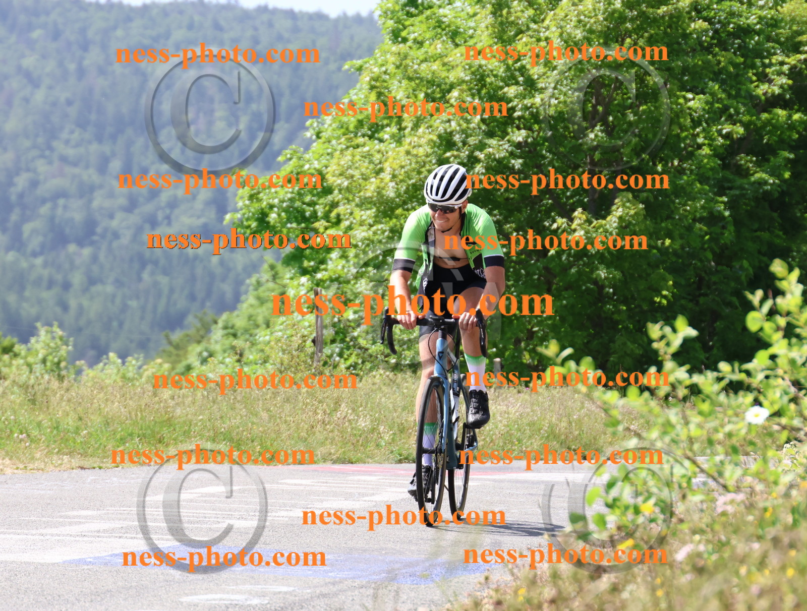 Col du grand Colombier (1341).JPG