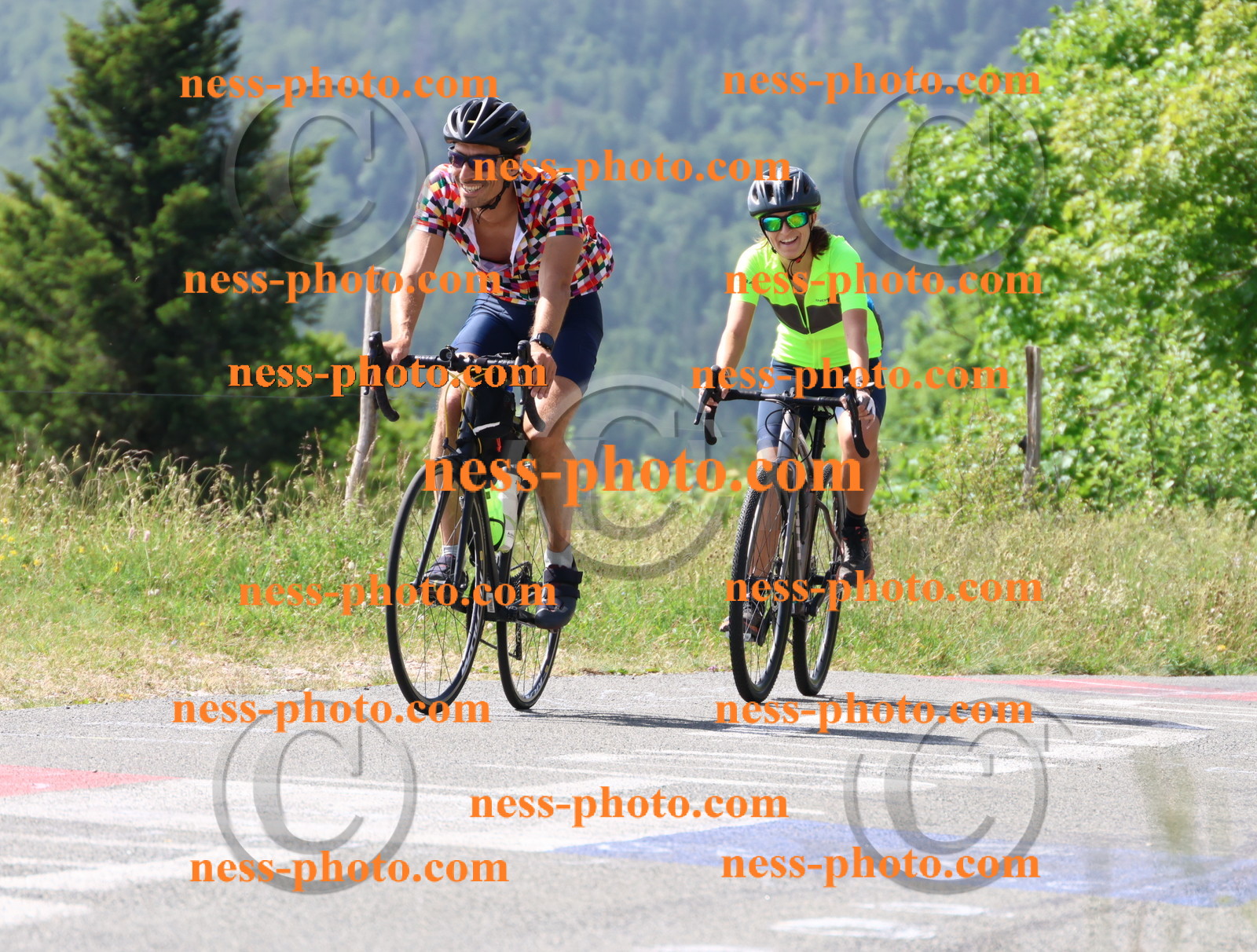 Col du grand Colombier (1025).JPG