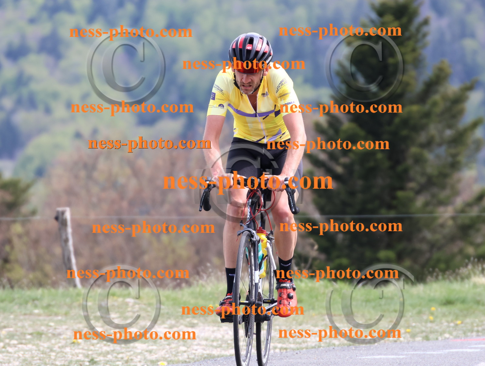 Col du Grand Colombier (1084).JPG