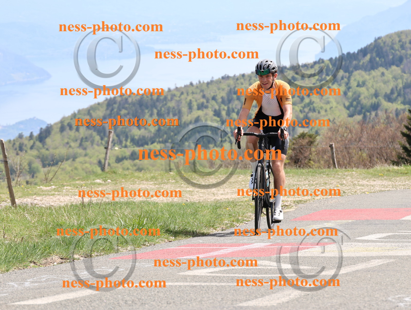 Col du Grand Colombier (943).JPG