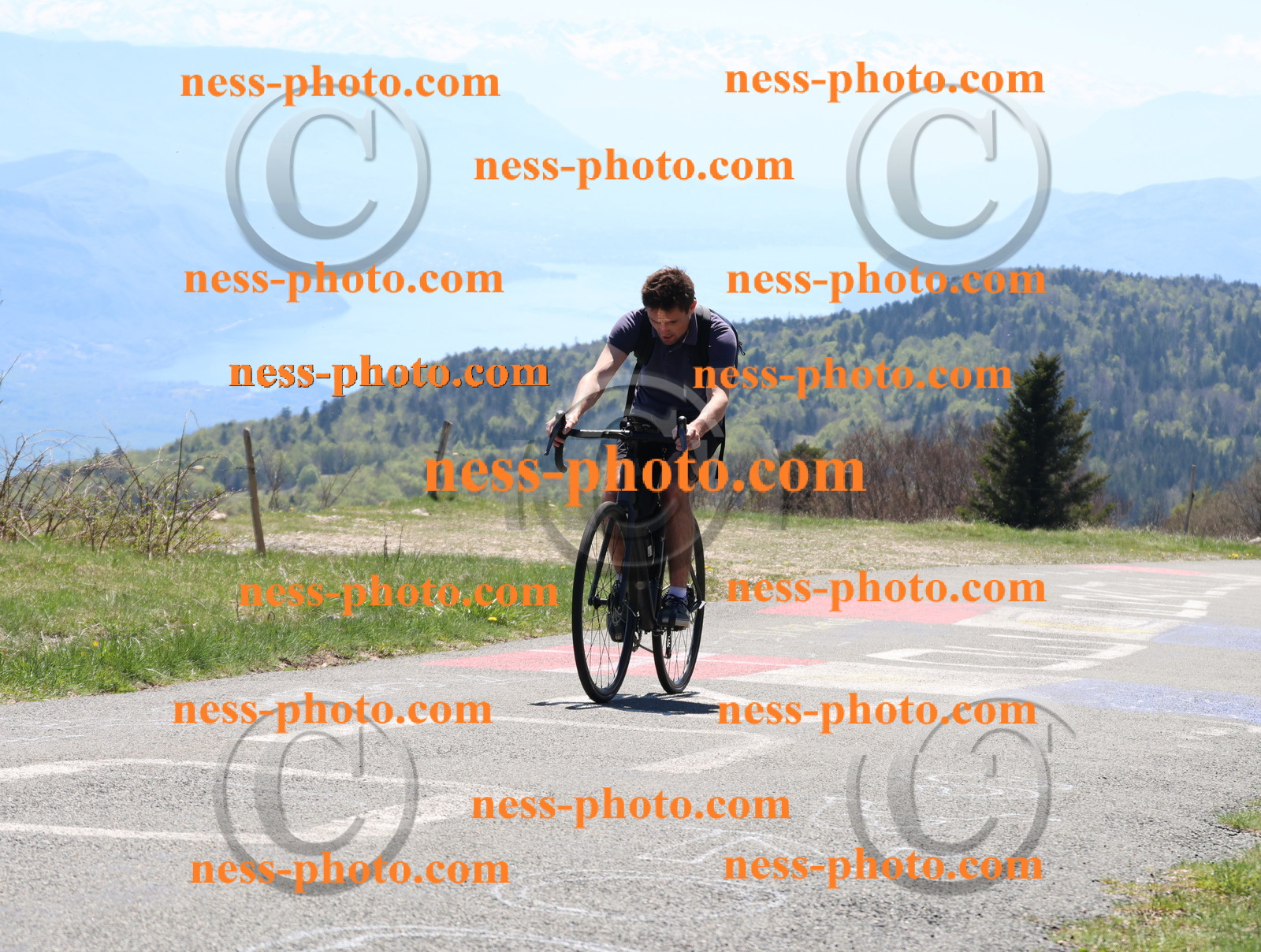 Col du Grand Colombier (470).JPG