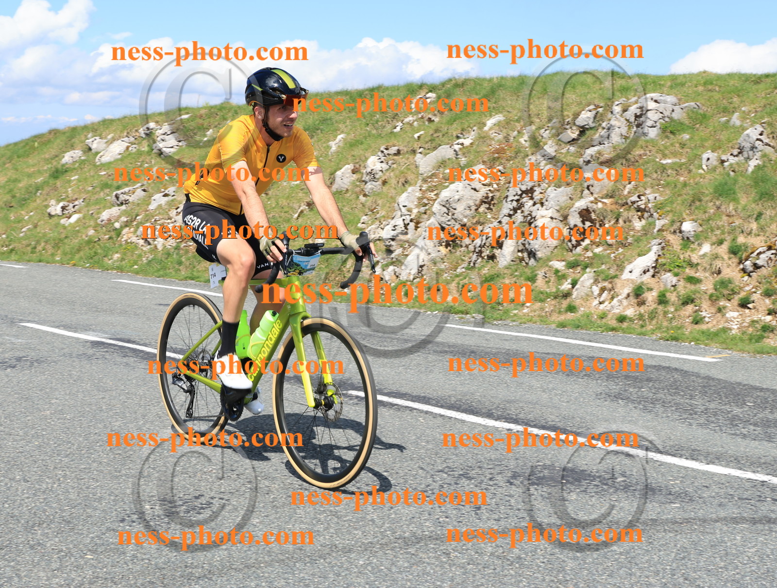 Col du Grand Colombier (1219).JPG