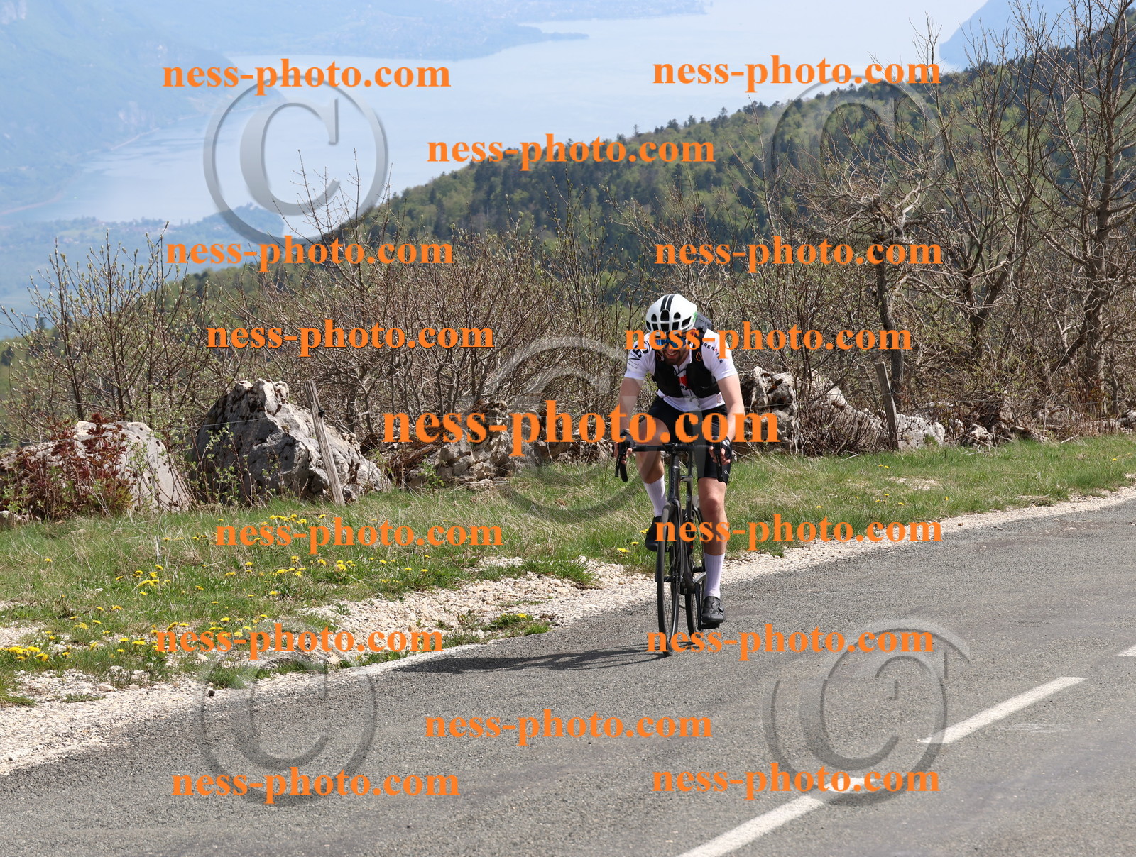 Col du Grand Colombier (1009).JPG