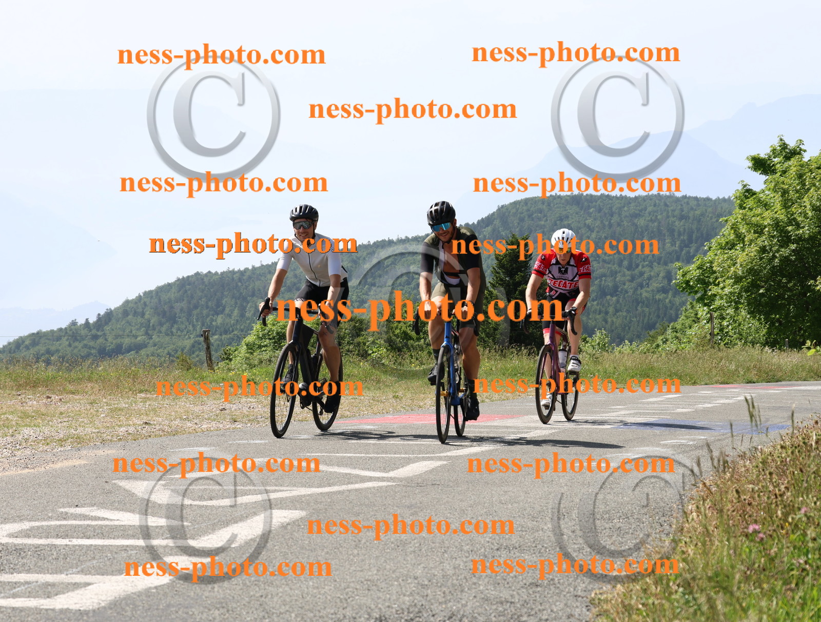 Col du grand Colombier (1230).JPG