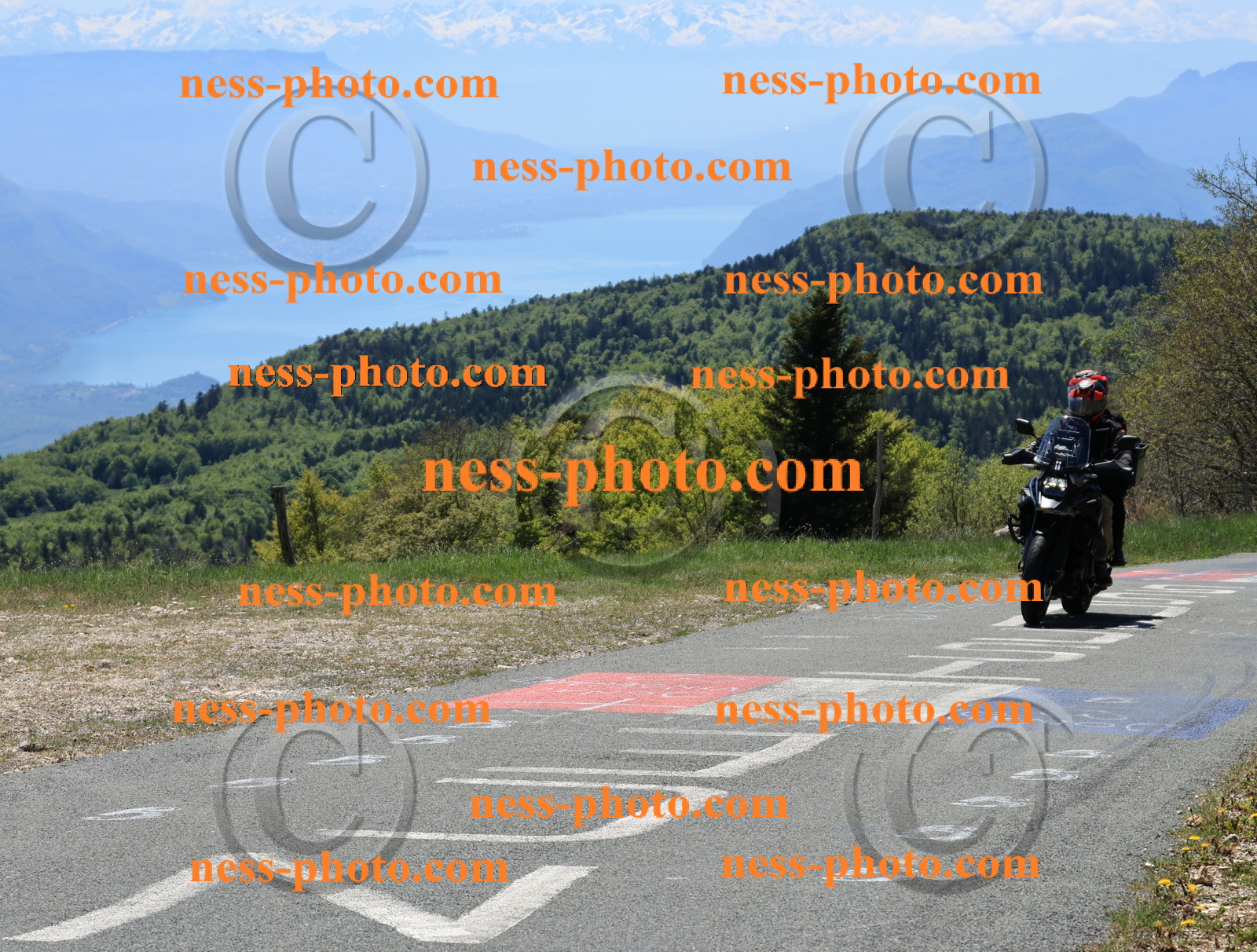 Col du Grand Colombier (156).JPG