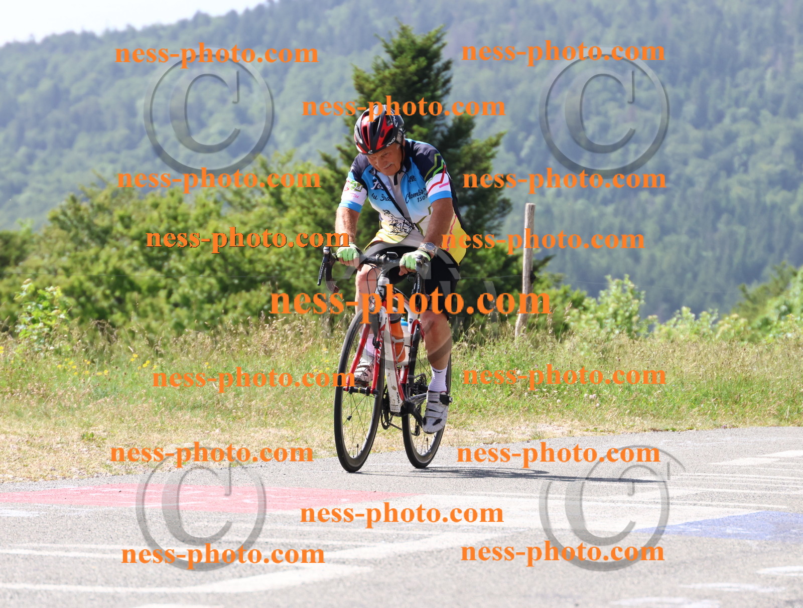 Col du grand Colombier (1161).JPG