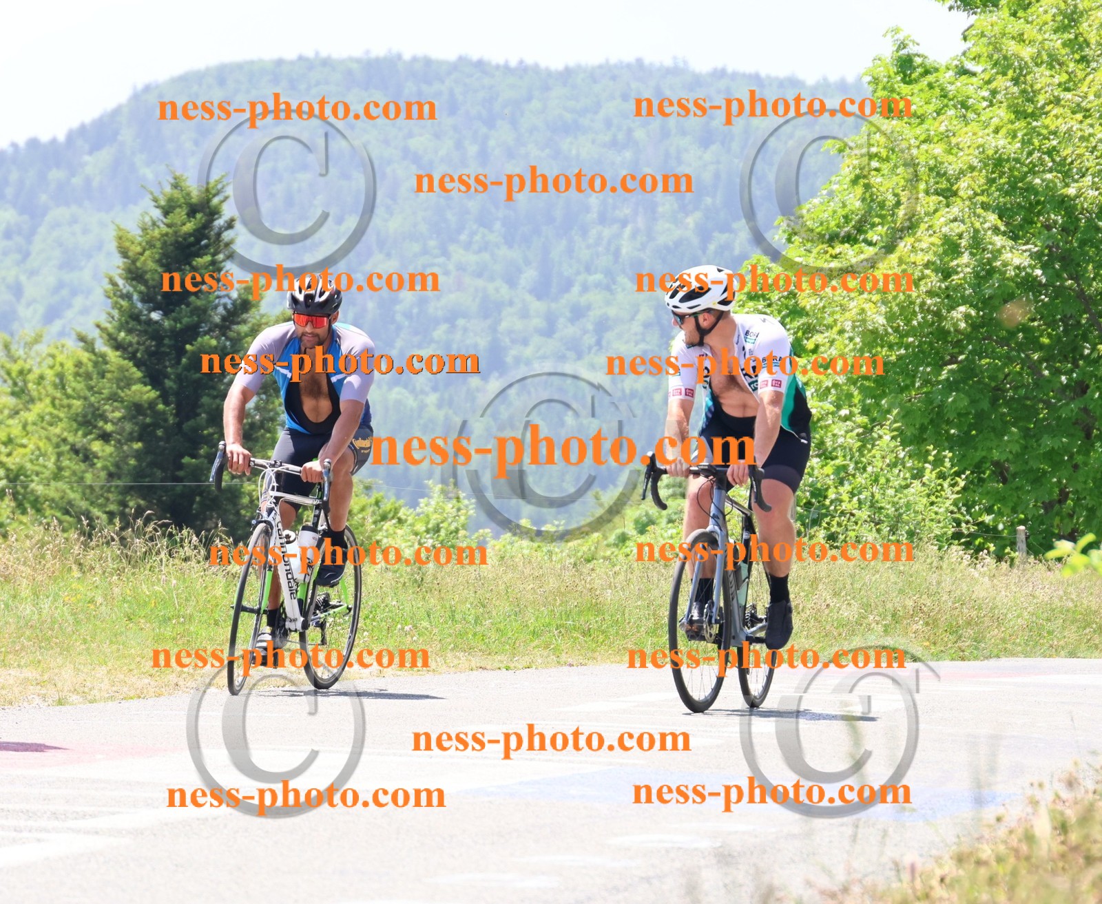 Col du grand Colombier (2647).JPG