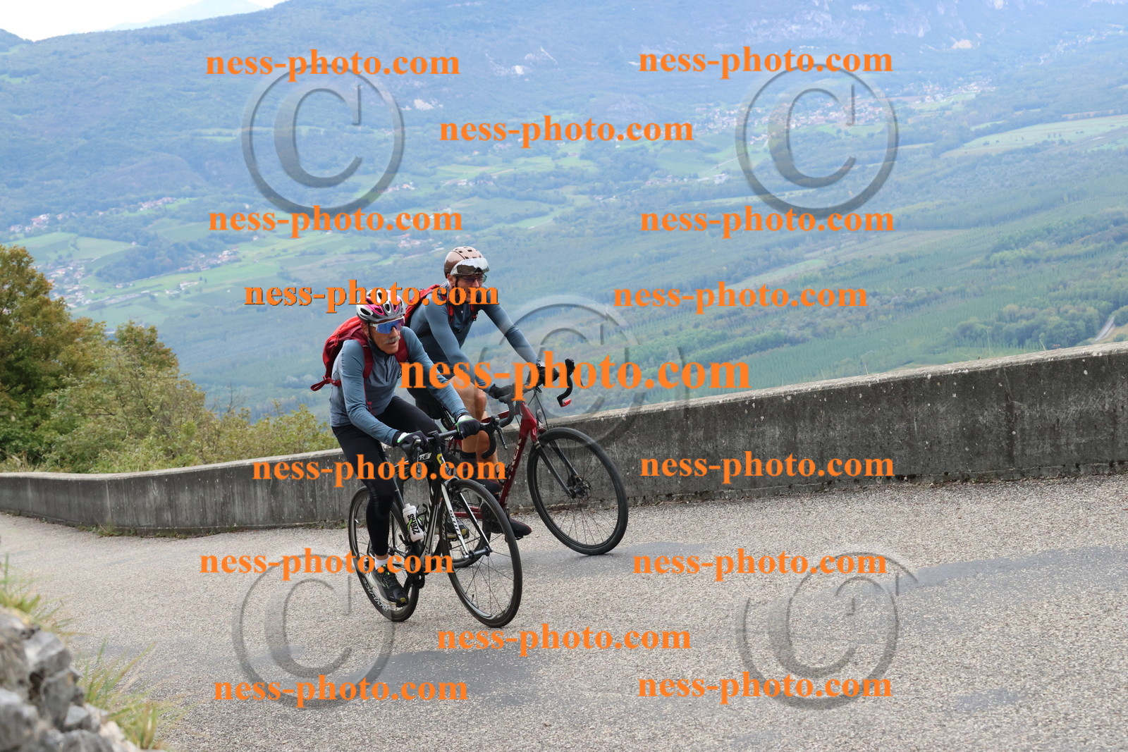 Col du Grand Colombier (905).JPG