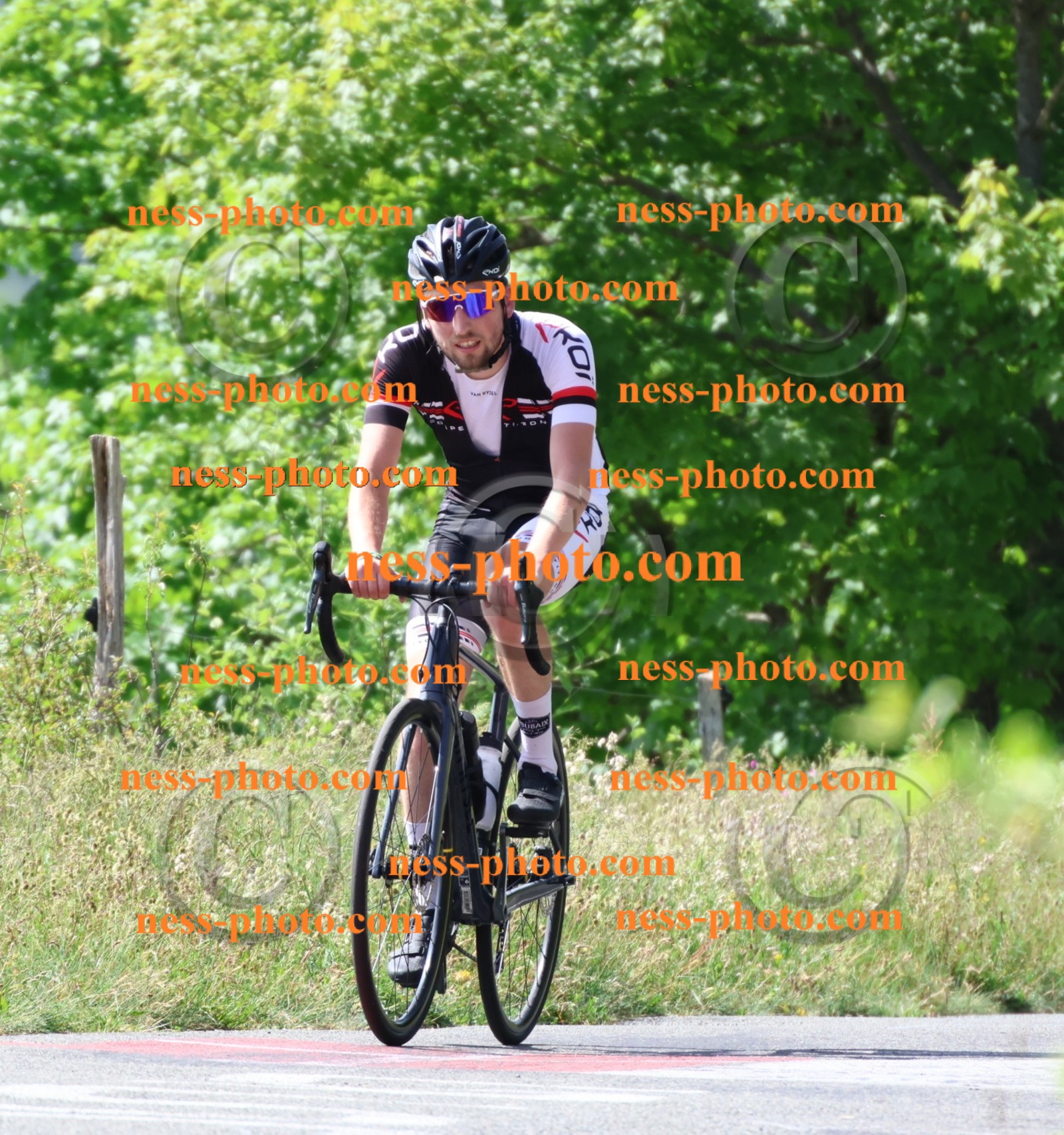 Col du grand Colombier (985).JPG