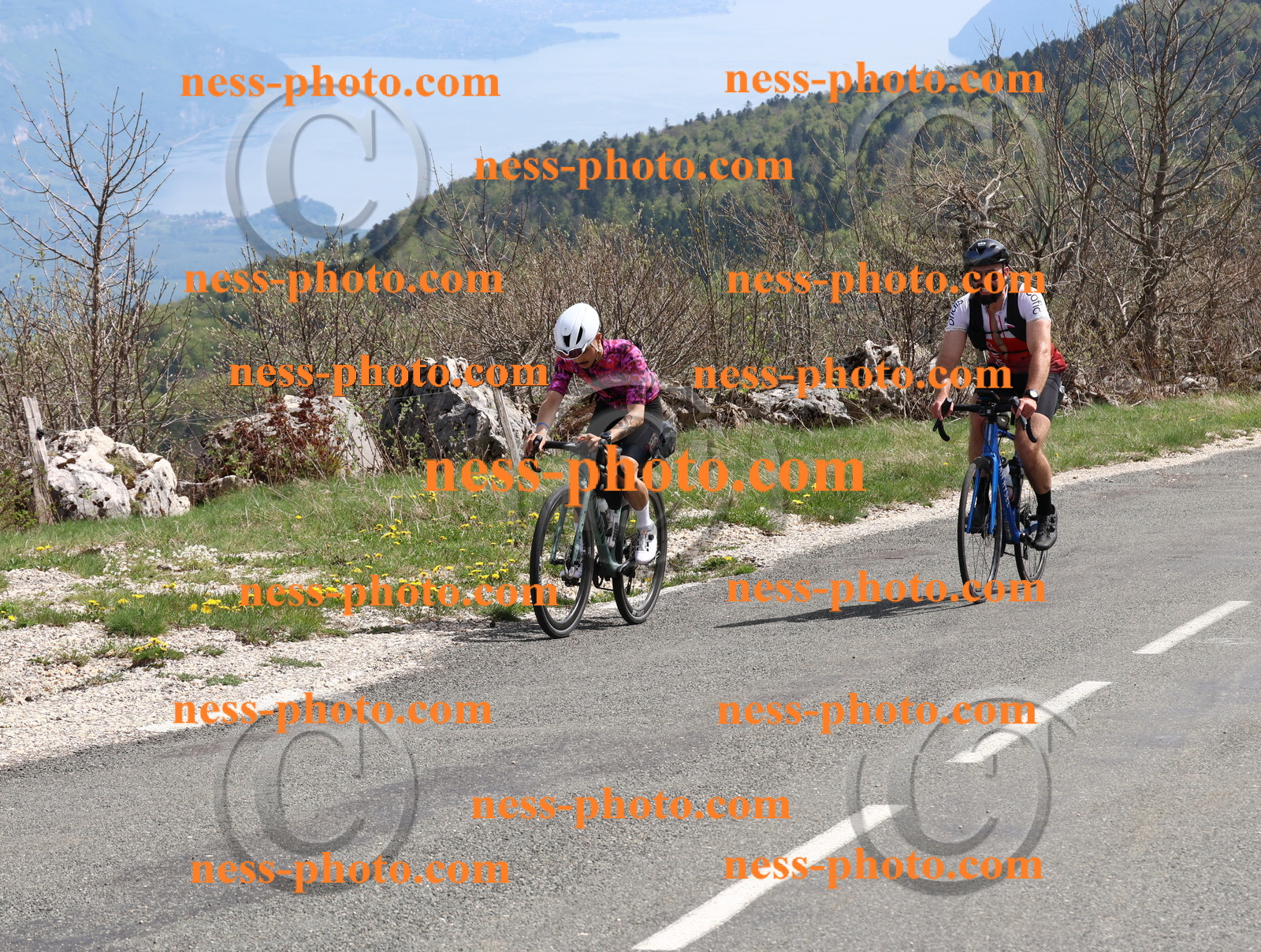 Col du Grand Colombier (989).JPG