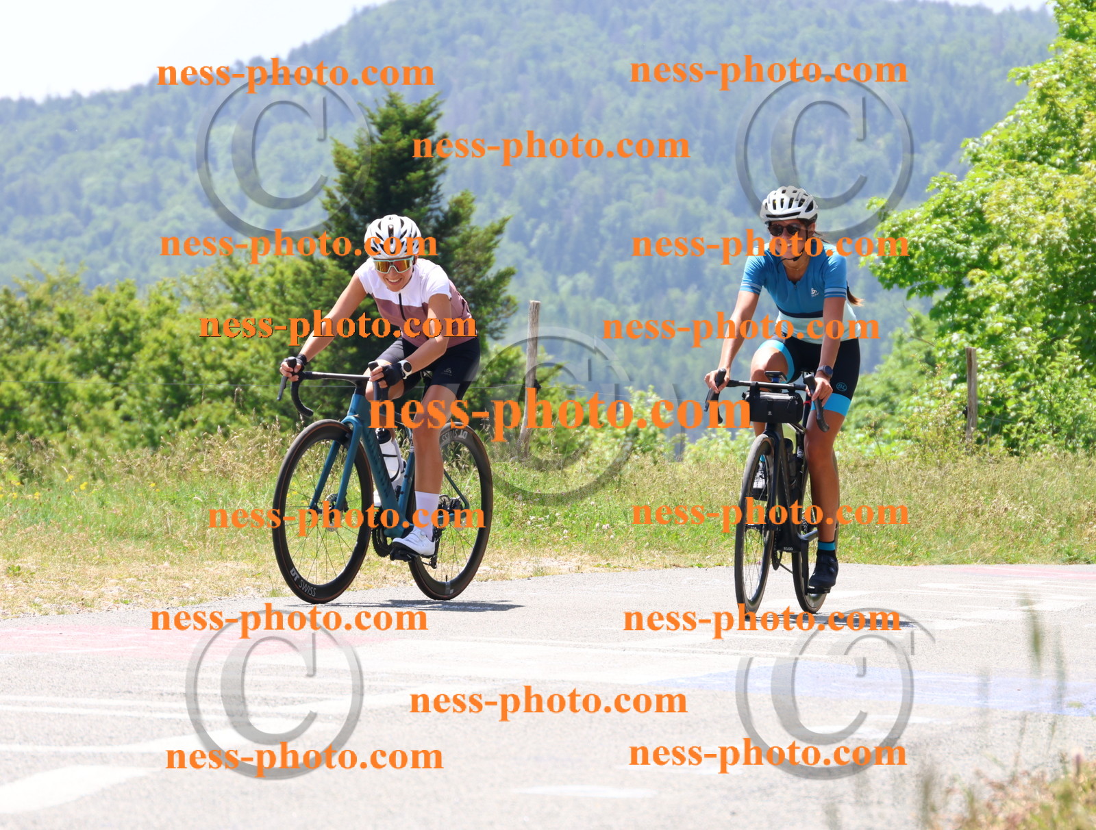 Col du grand Colombier (2694).JPG