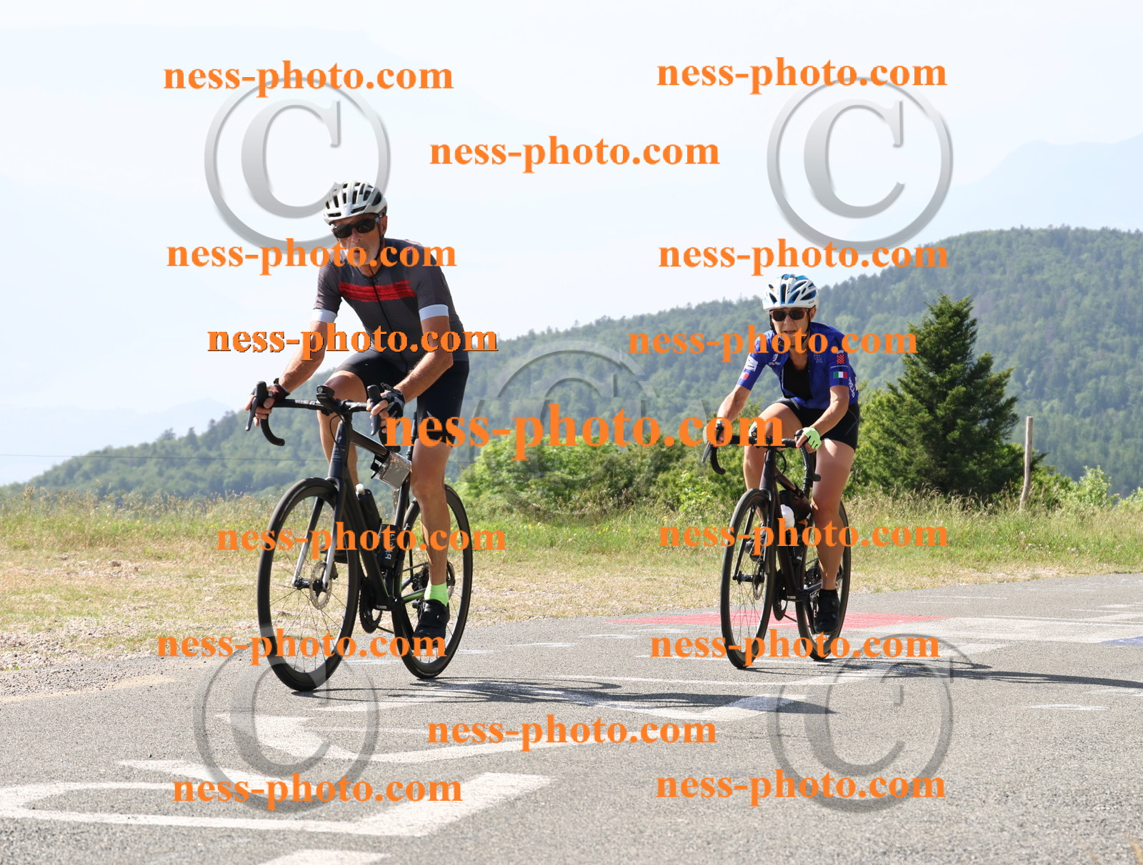 Col du grand Colombier (585).JPG