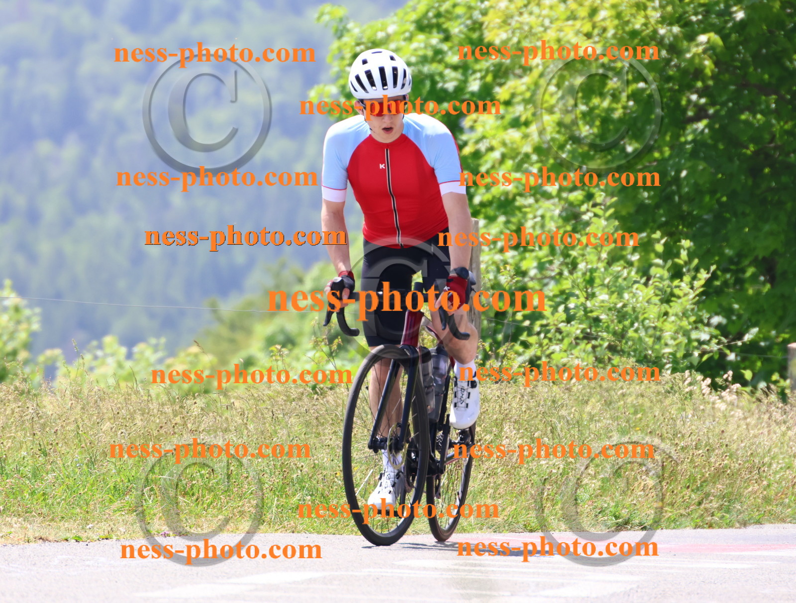 Col du grand Colombier (2491).JPG