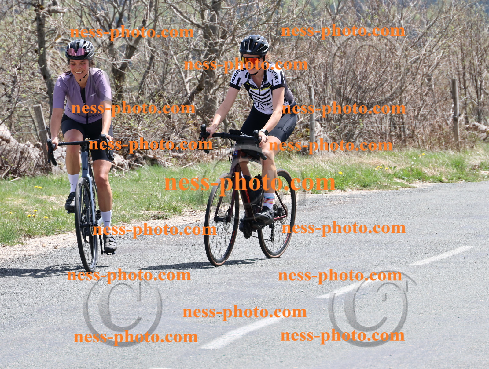 Col du Grand Colombier (867).JPG