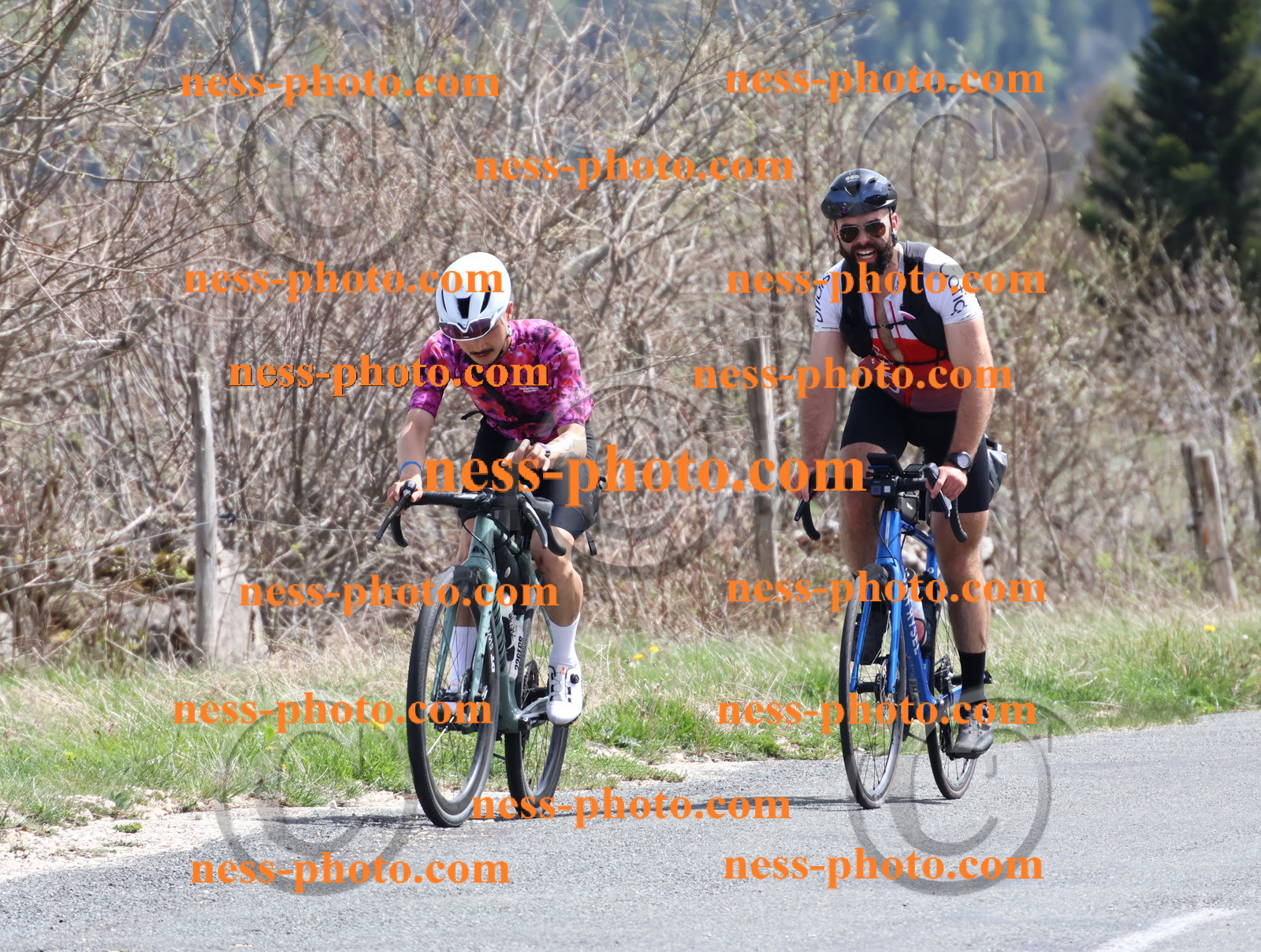 Col du Grand Colombier (983).JPG