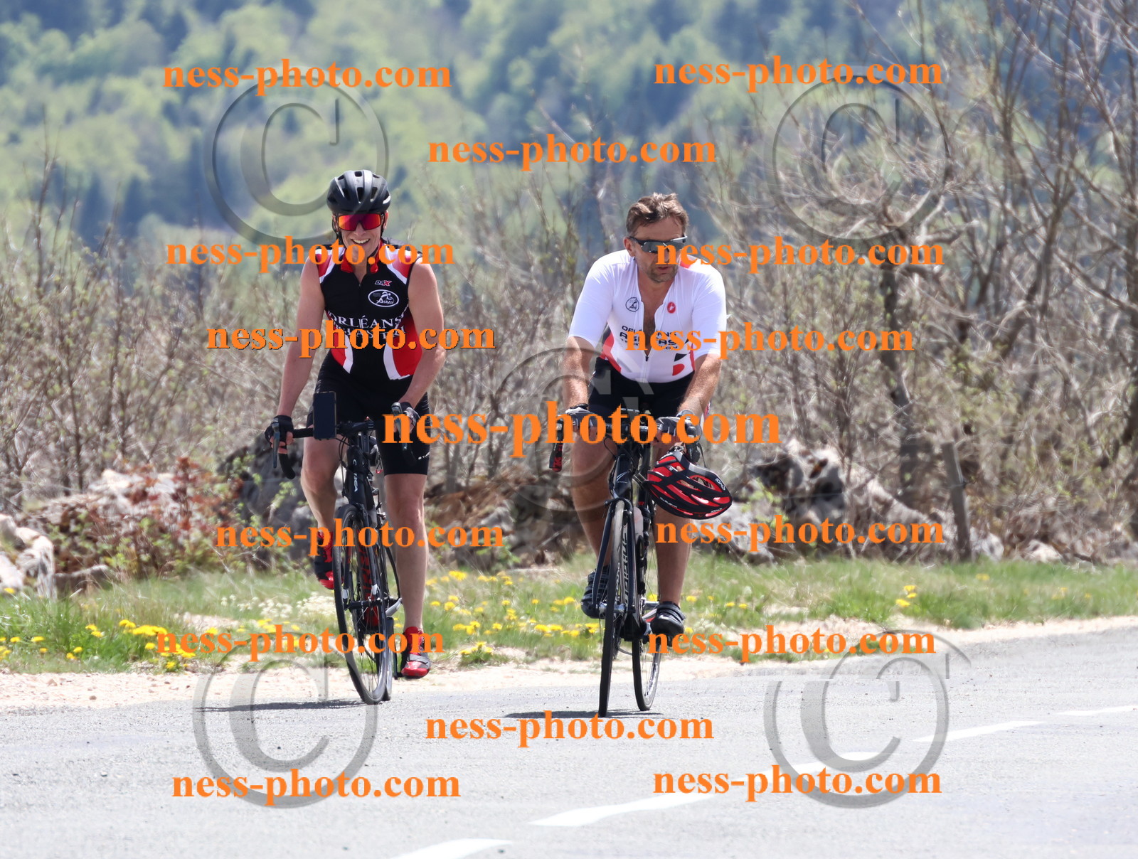 Col du Grand Colombier (725).JPG