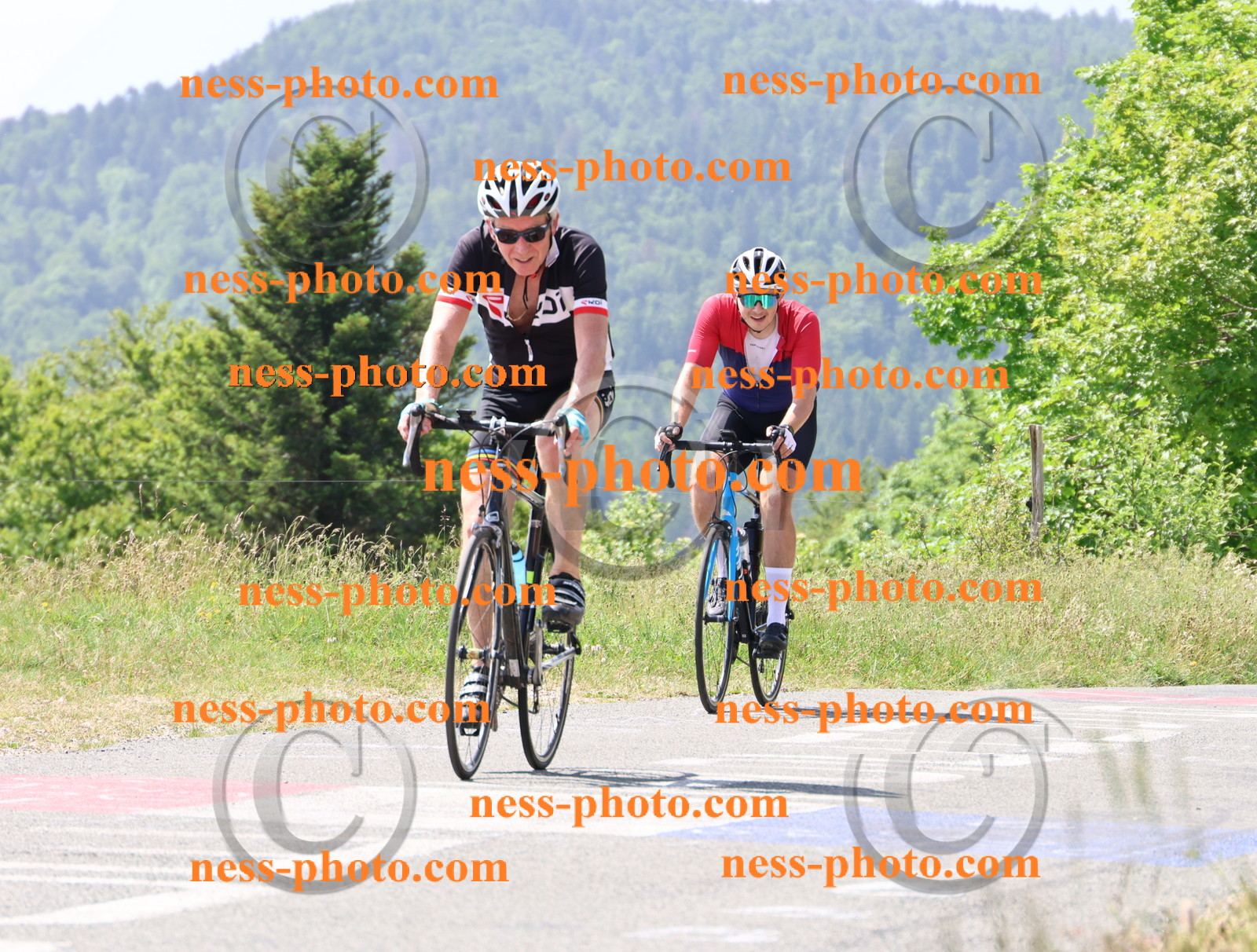 Col du grand Colombier (1597).JPG