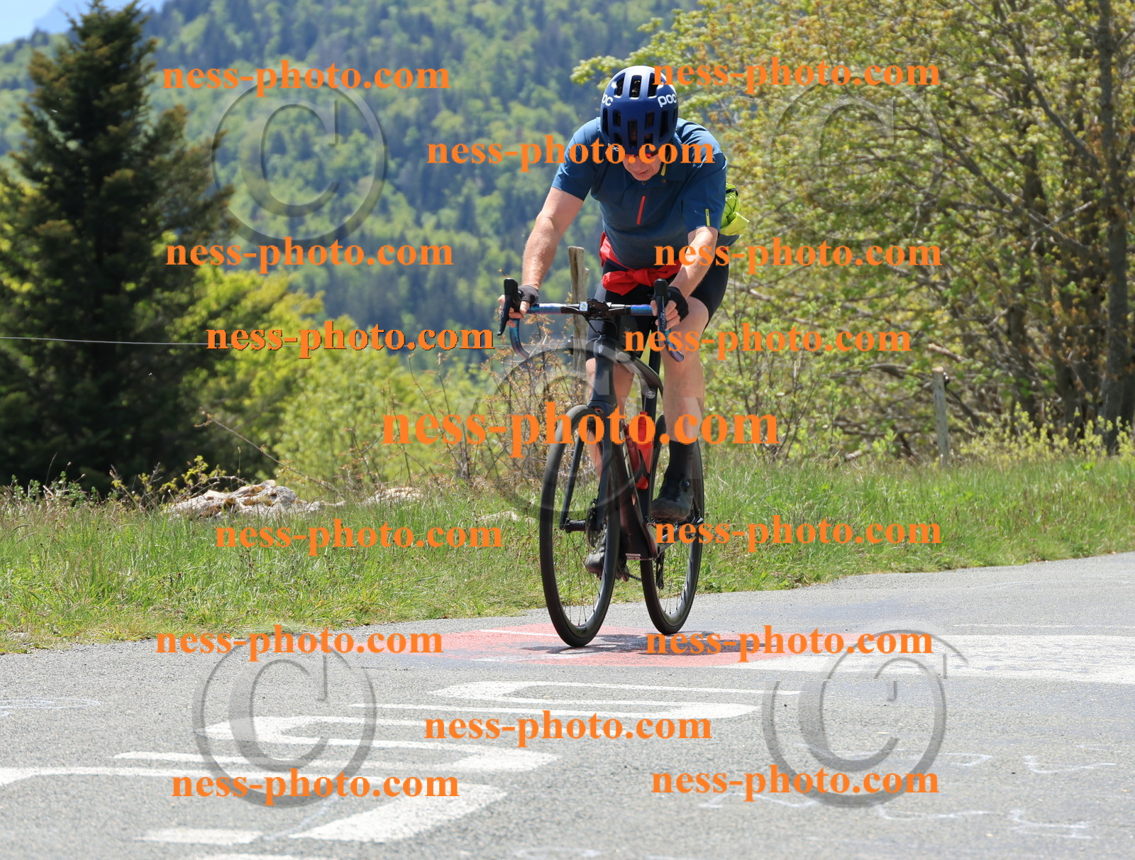 Col du Grand Colombier (363).JPG